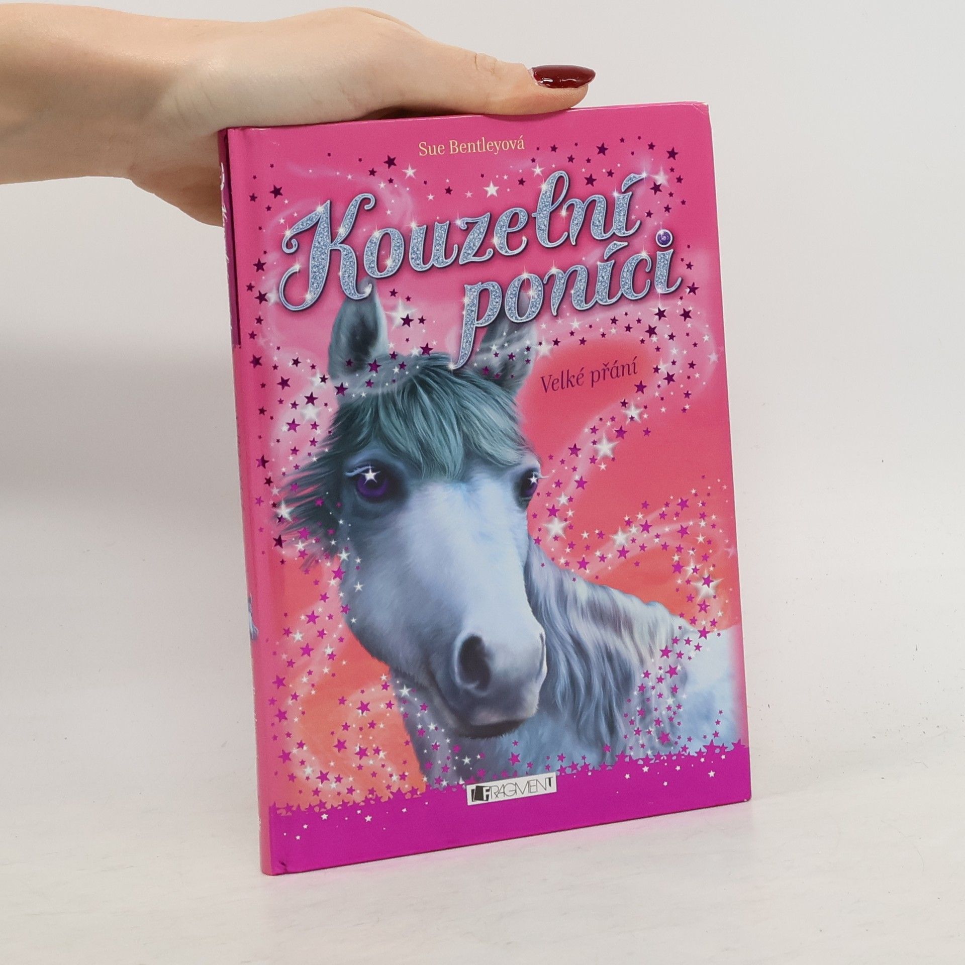 Sue Bentley Velké přání