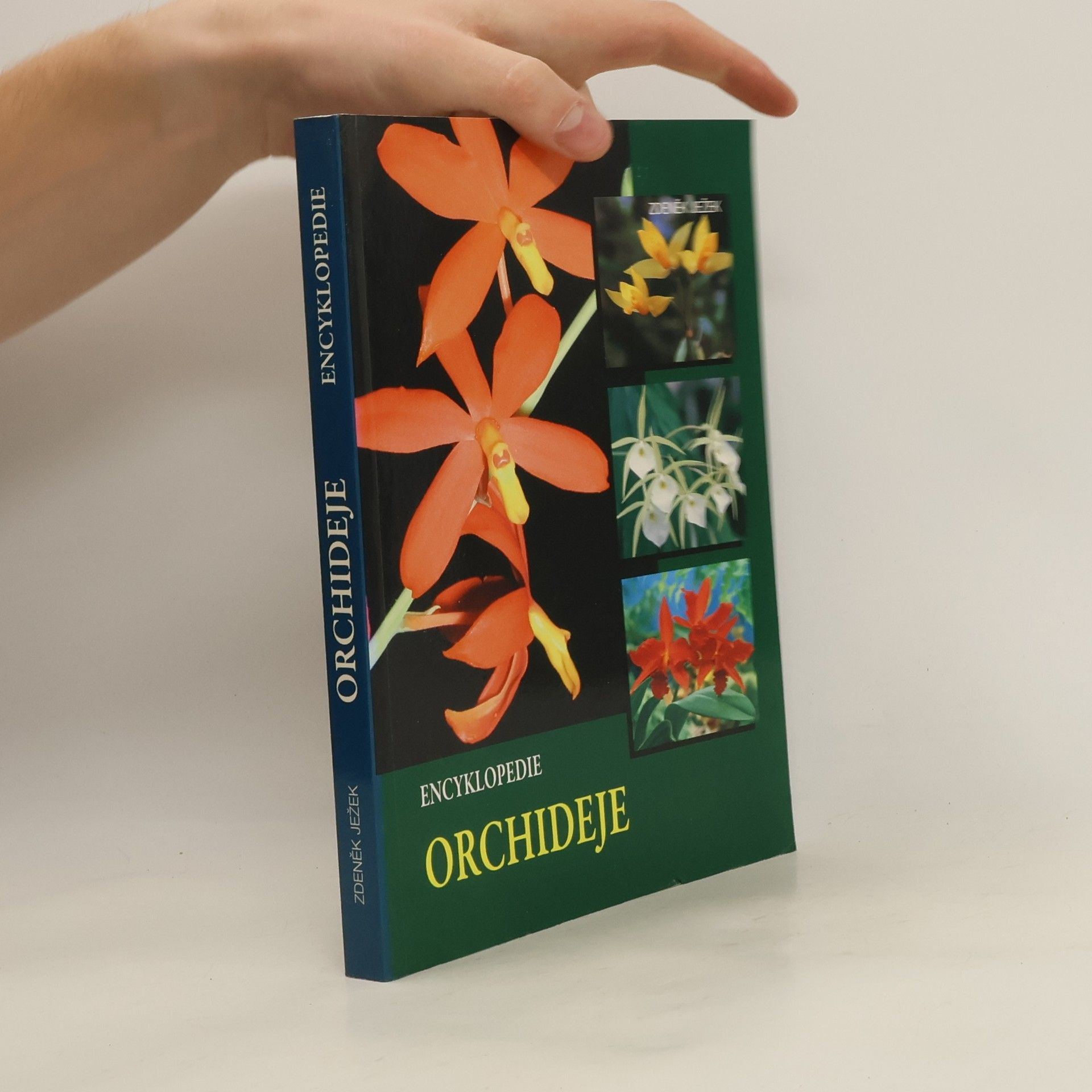 Encyklopedie - Orchideje