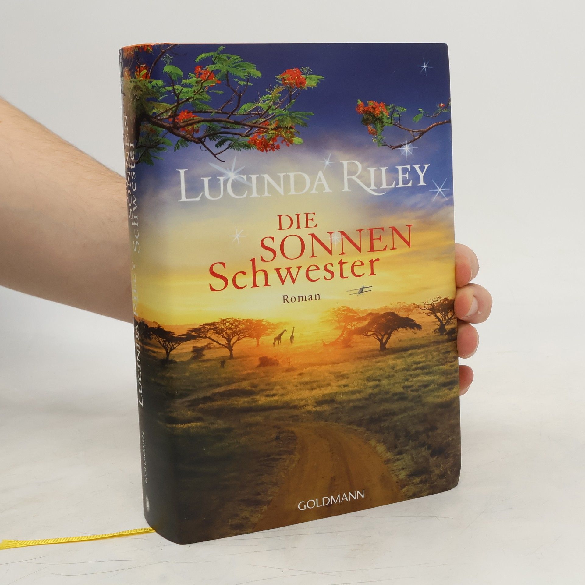 Lucinda Riley Die Sonnenschwester