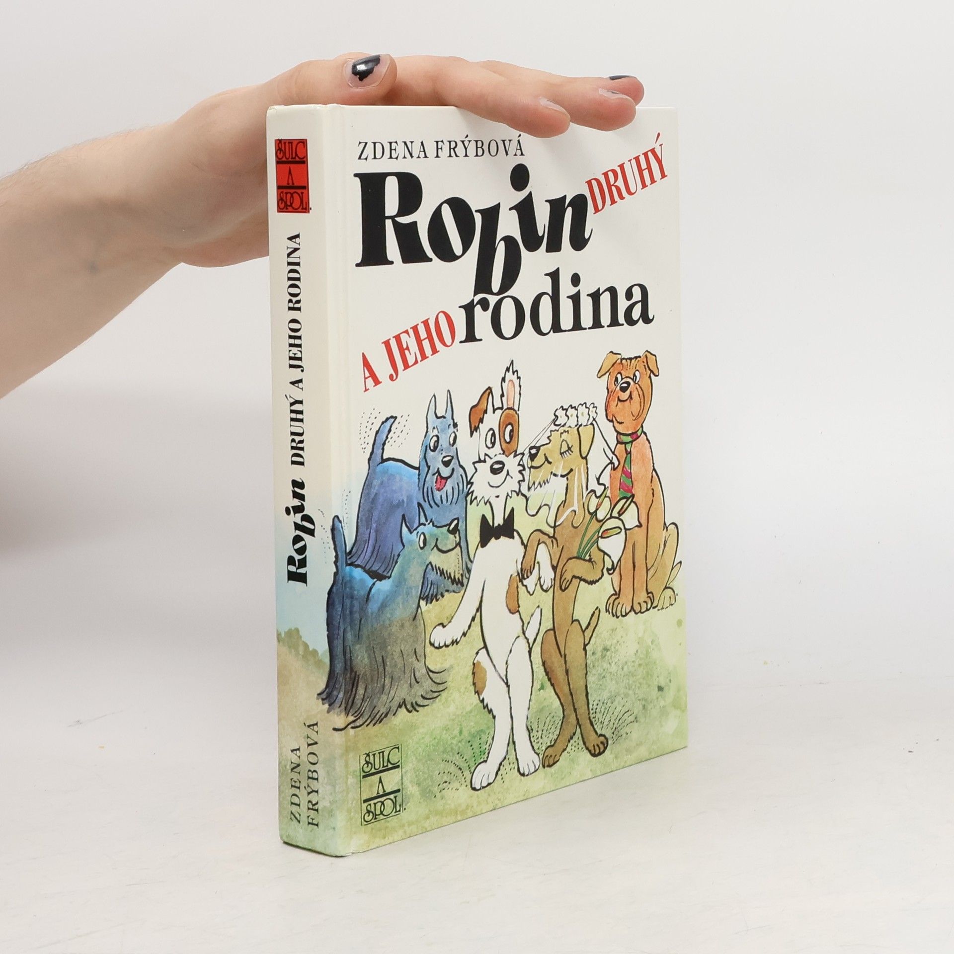 Robin Druhý a jeho rodina