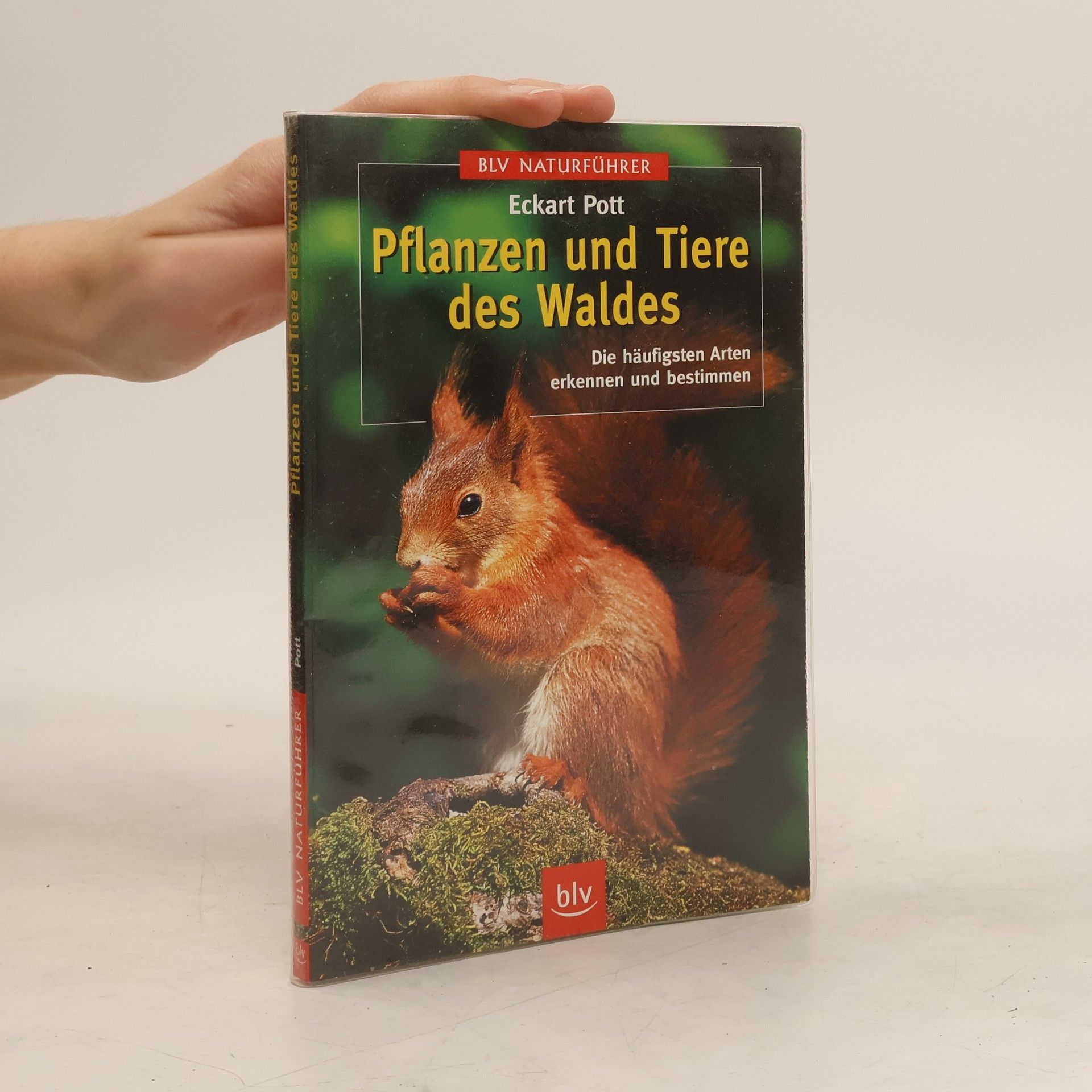 Pflanzen und Tiere des Waldes