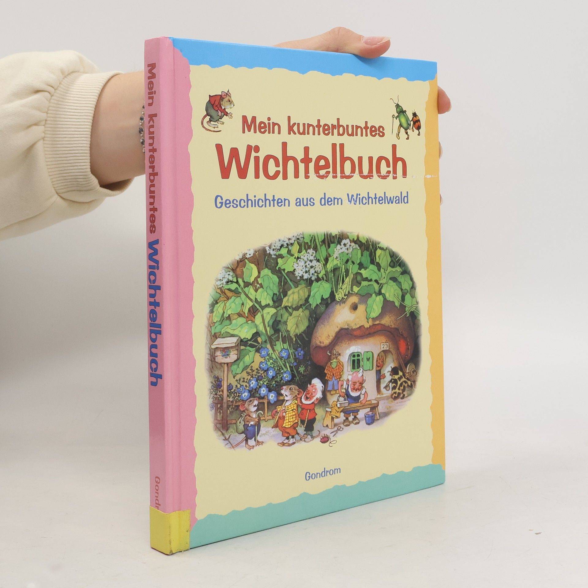 Autorenkollektiv Mein grosses Wichtelbuch