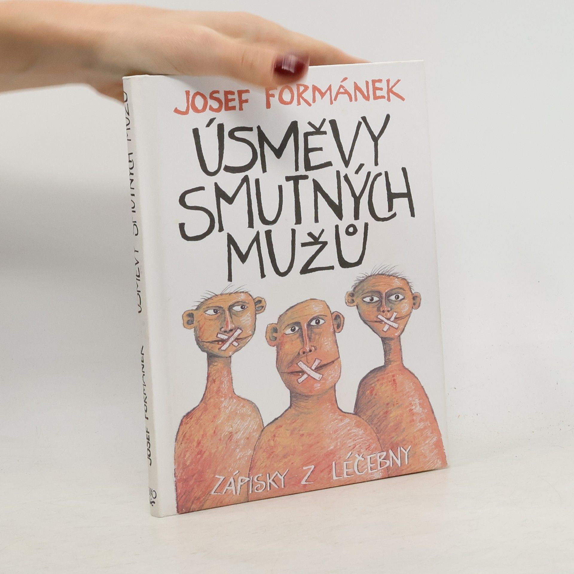 Úsměvy smutných mužů. Zápisky z léčebny