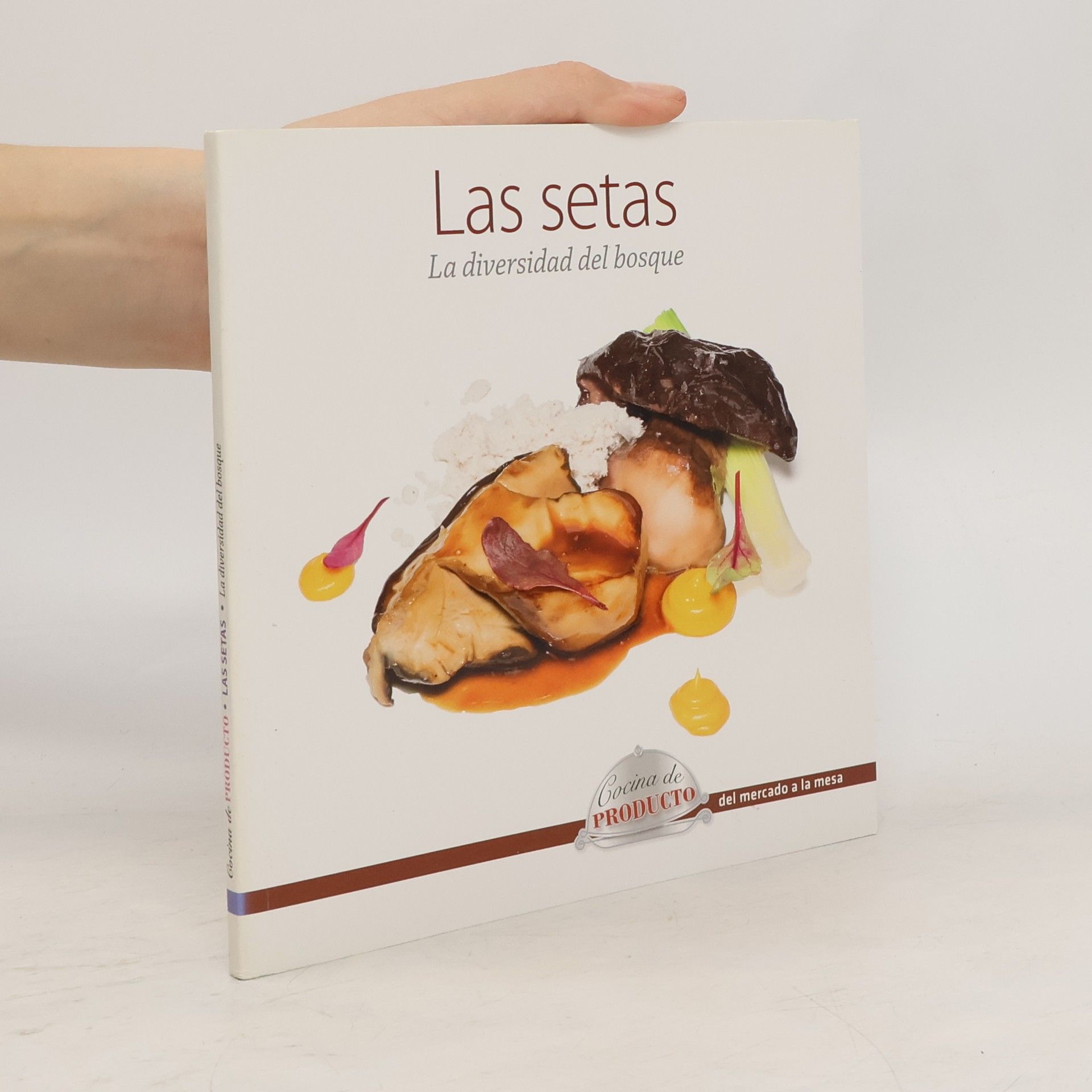 Autores varios Las setas La diversidad del bosque