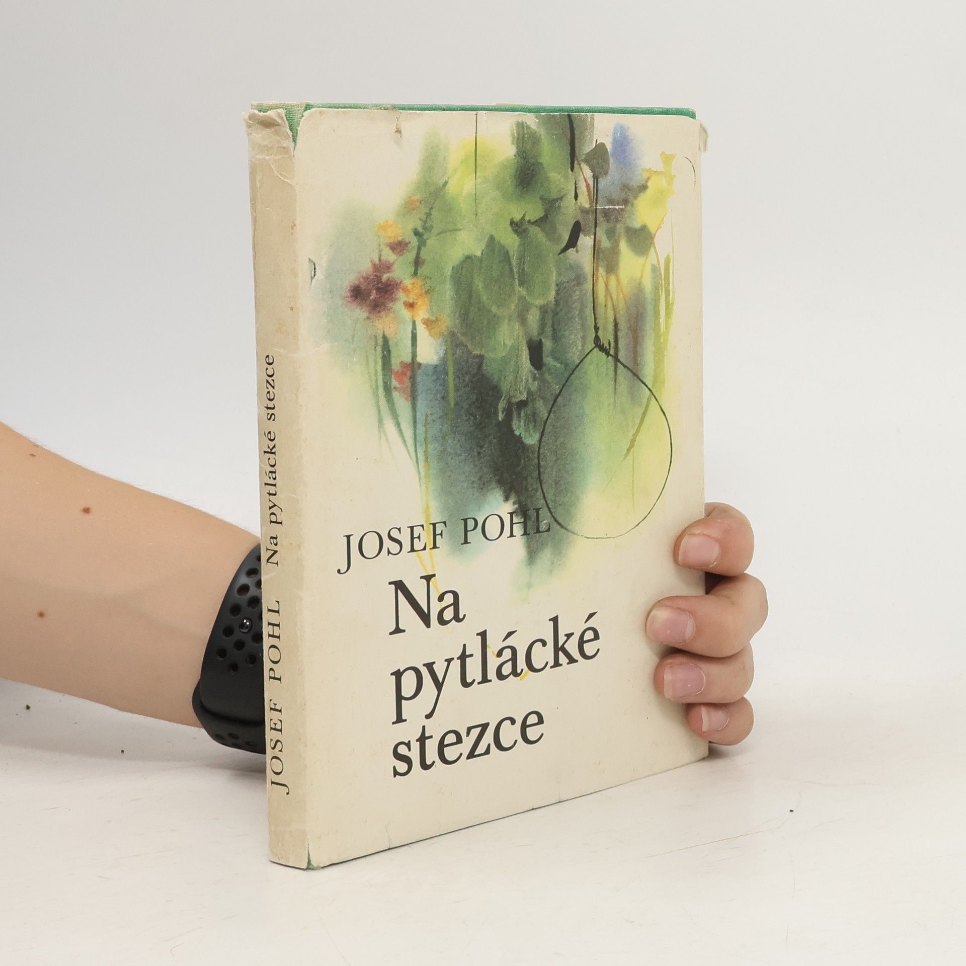 Na pytlácké stezce