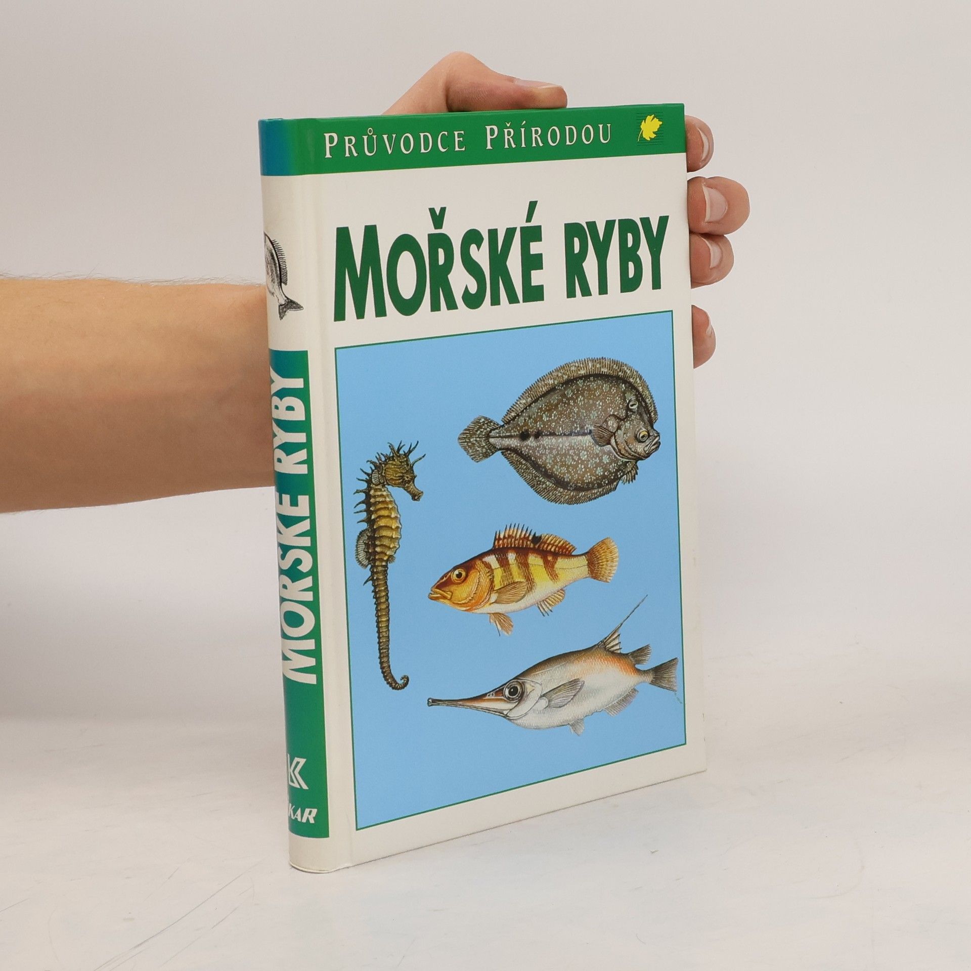 Frieder Sauer Mořské ryby v evropských vodách