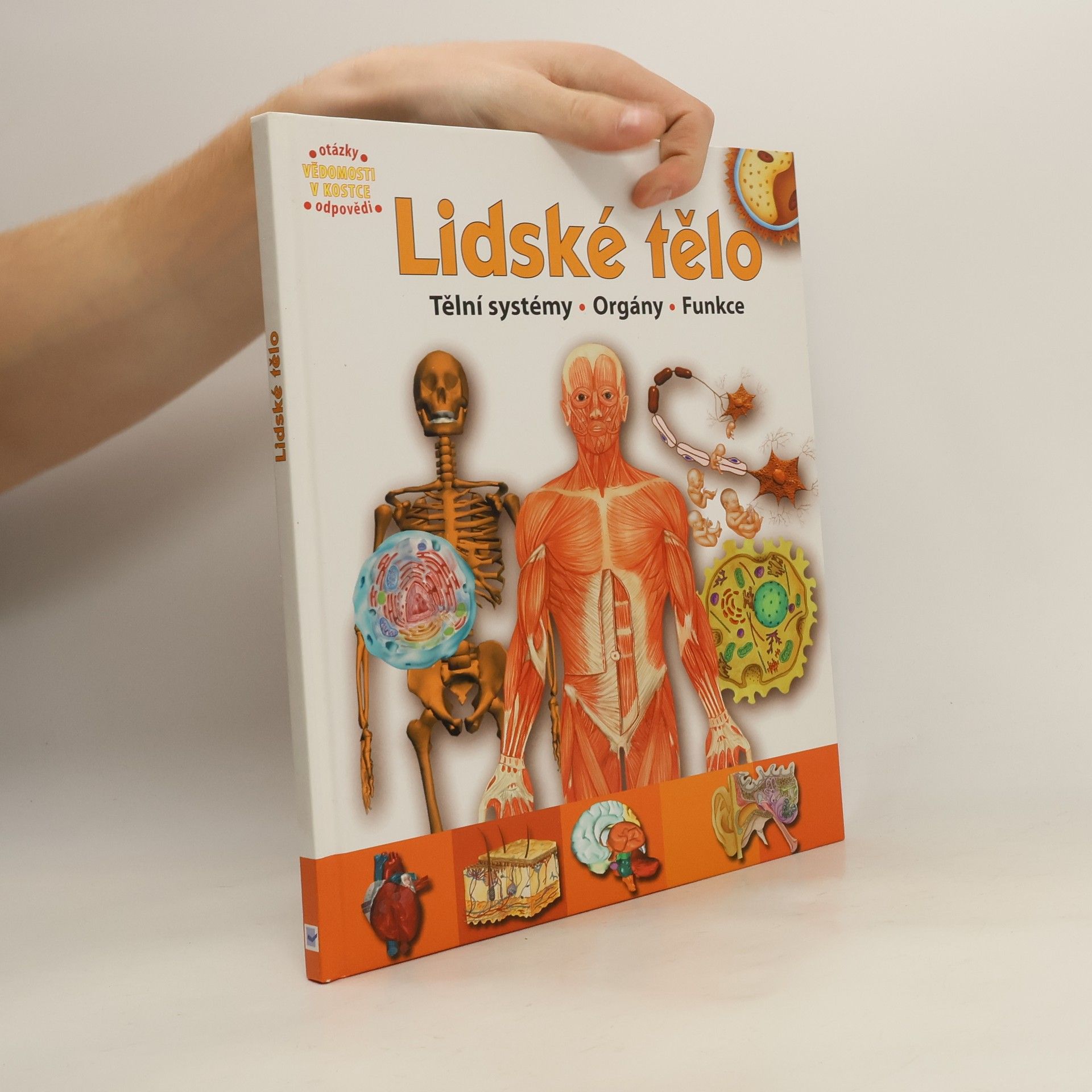 Collectif d'auteurs Lidské tělo : orgány, tělní systémy, funkce