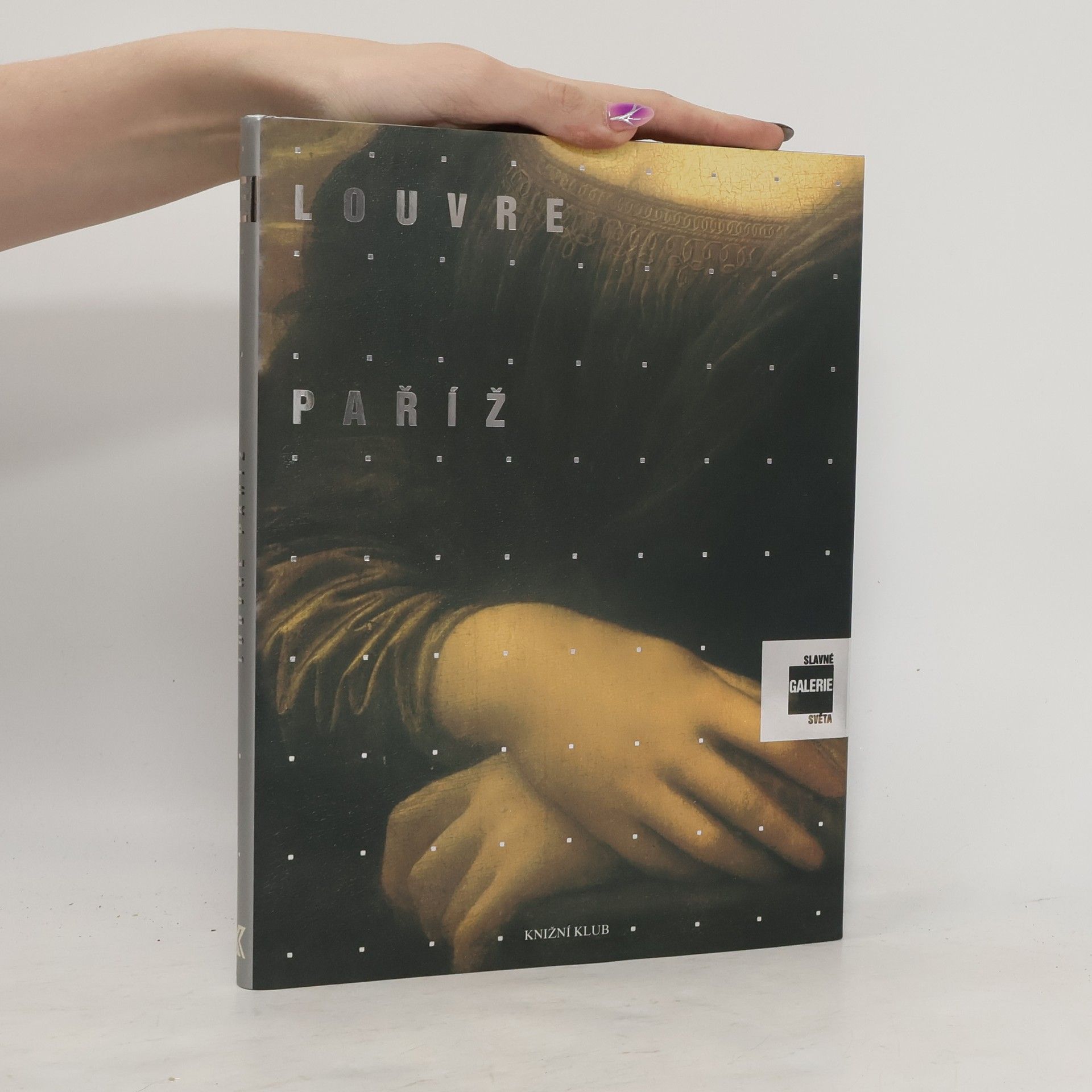 Alessandra Fregolent Slavné galerie světa. Louvre - Paříž