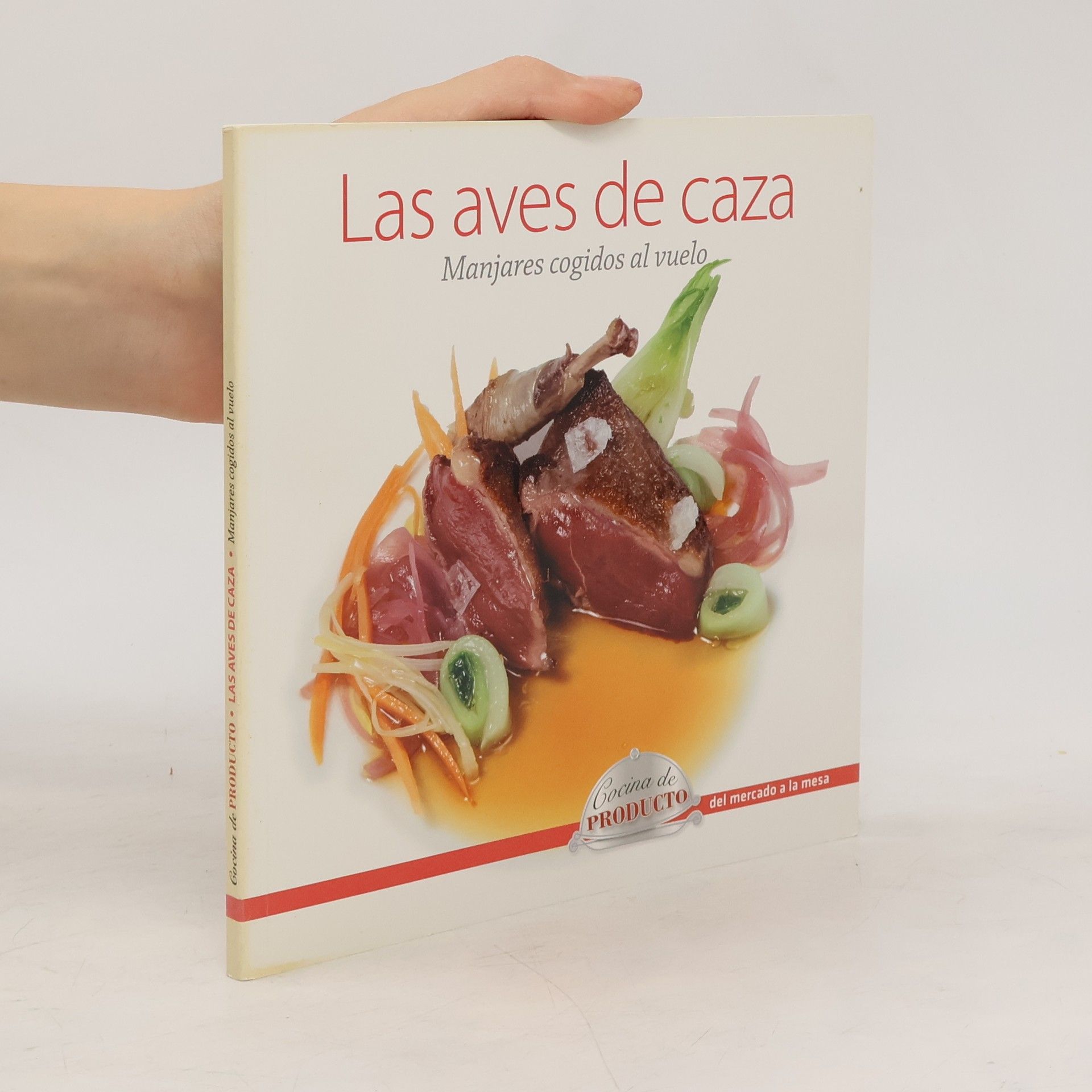 Autores varios Las aves de caza