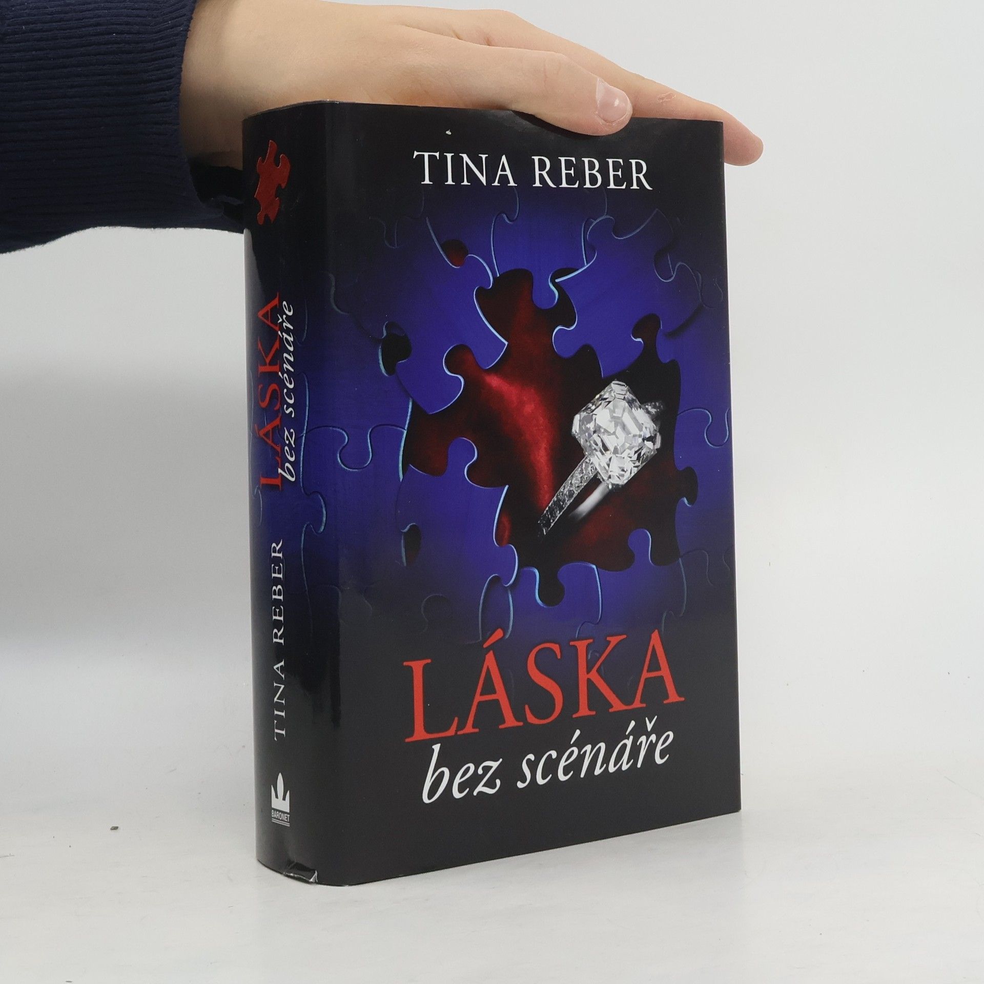 Tina Reber Láska bez scénáře