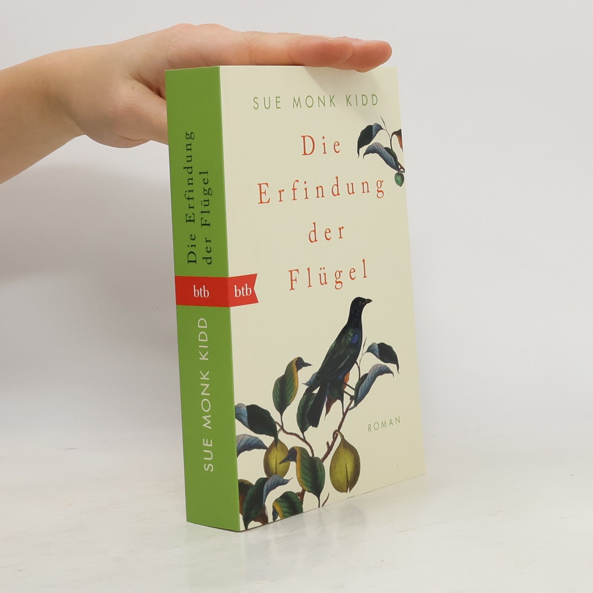 Sue Monk Kidd Die Erfindung der Flügel