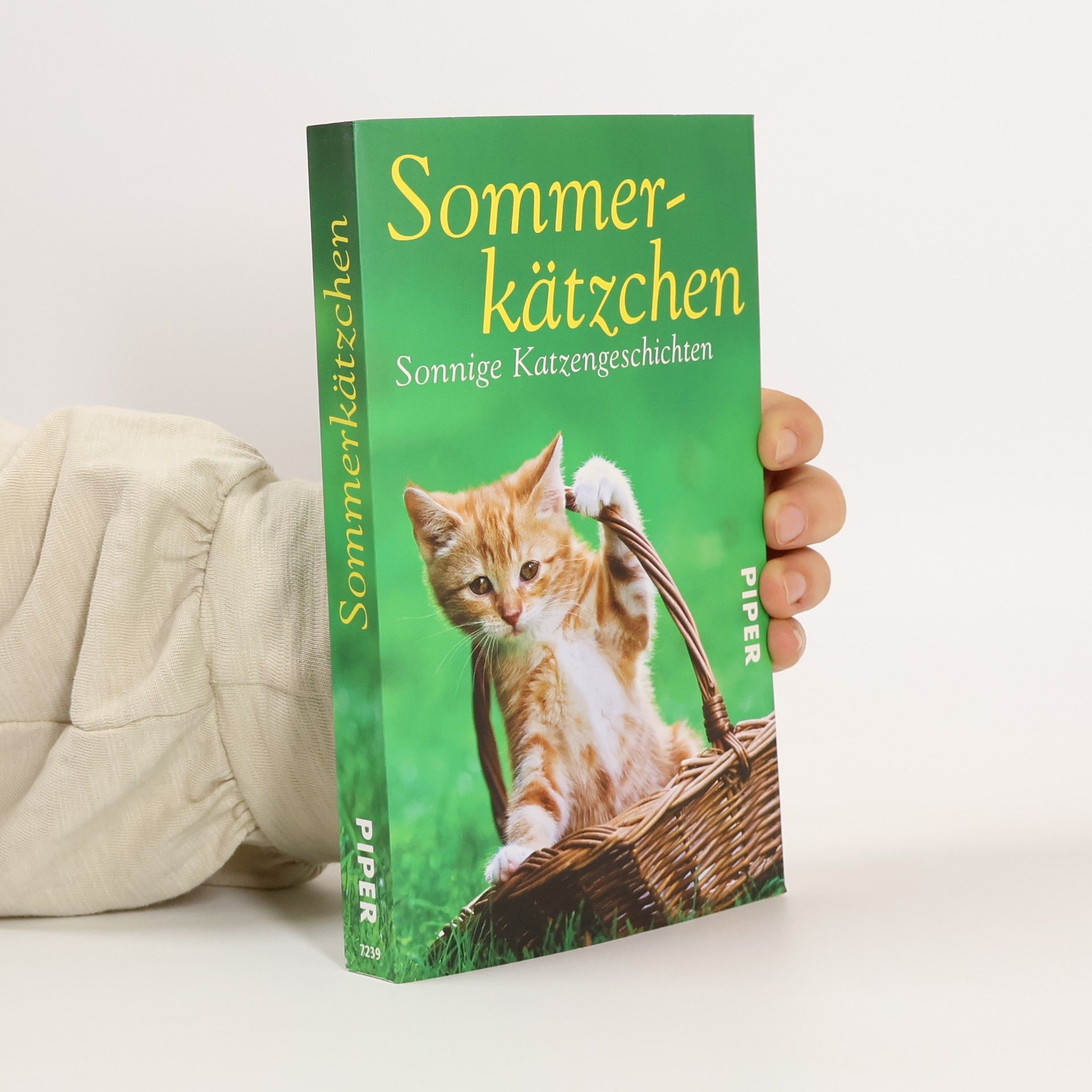 Jone Heer Sommerkätzchen