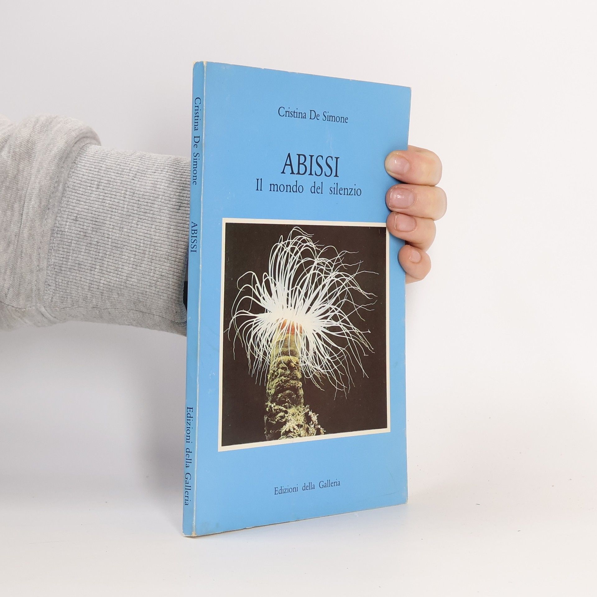 Cristina De Simone Abissi. Il mondo del silenzio