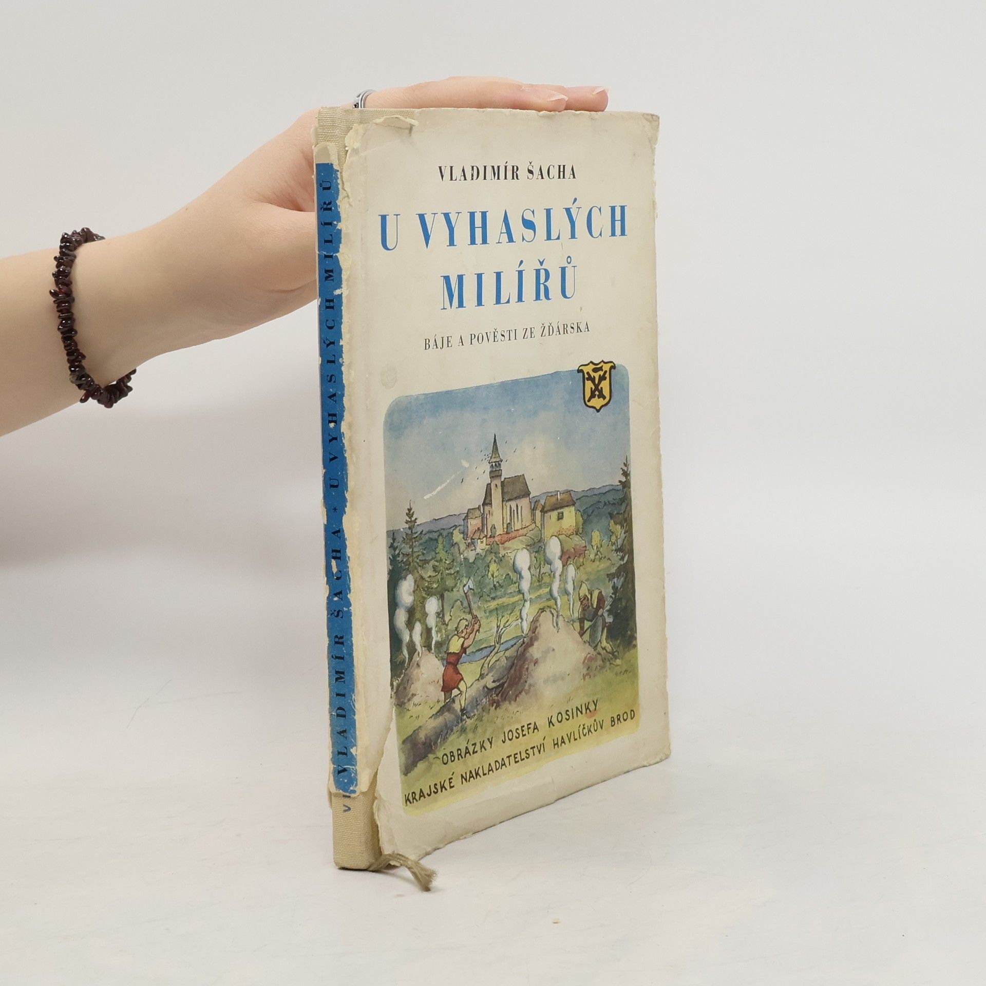 Vladimír Šacha U vyhaslých milířů