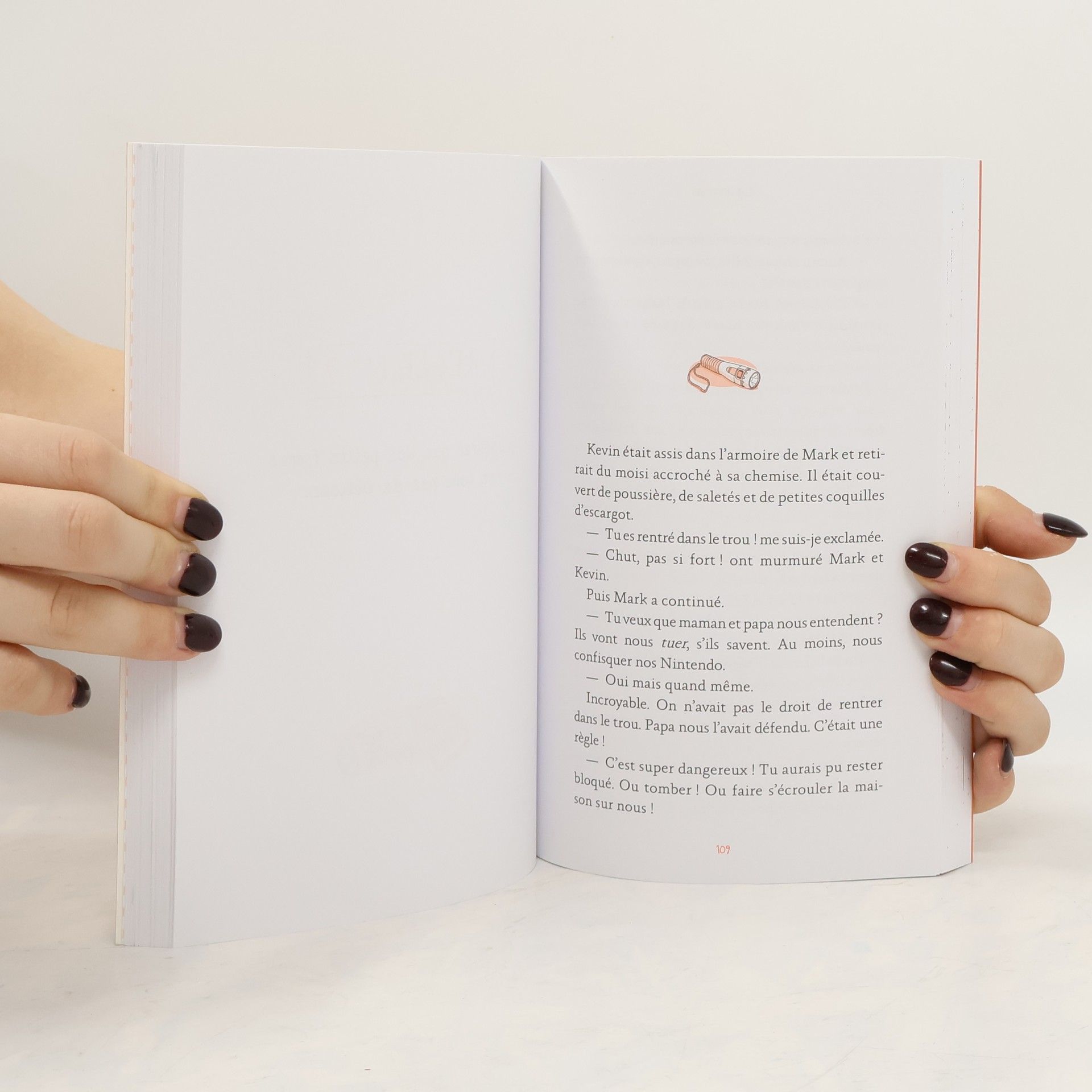 Meg Cabot Le Carnet D'allie 6
