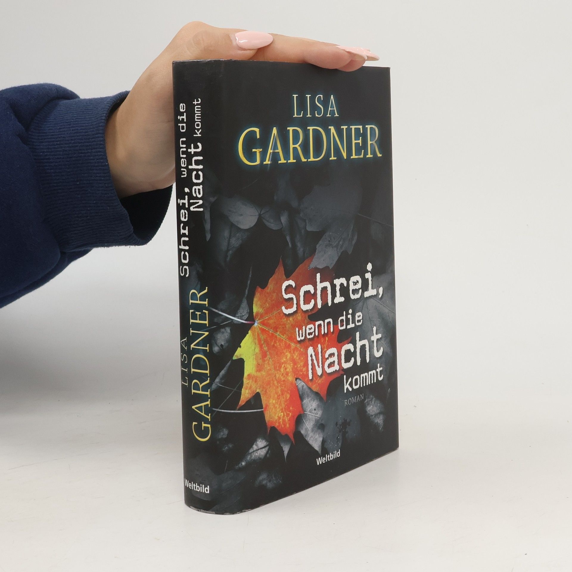 Lisa Gardner Schrei, wenn die Nacht kommt