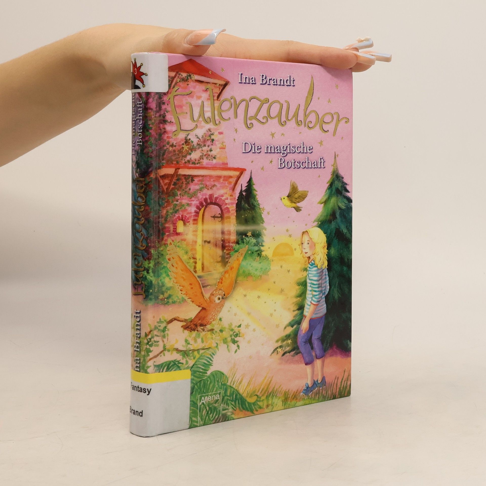 Ina Brandt Eulenzauber (12): Die magische Botschaft