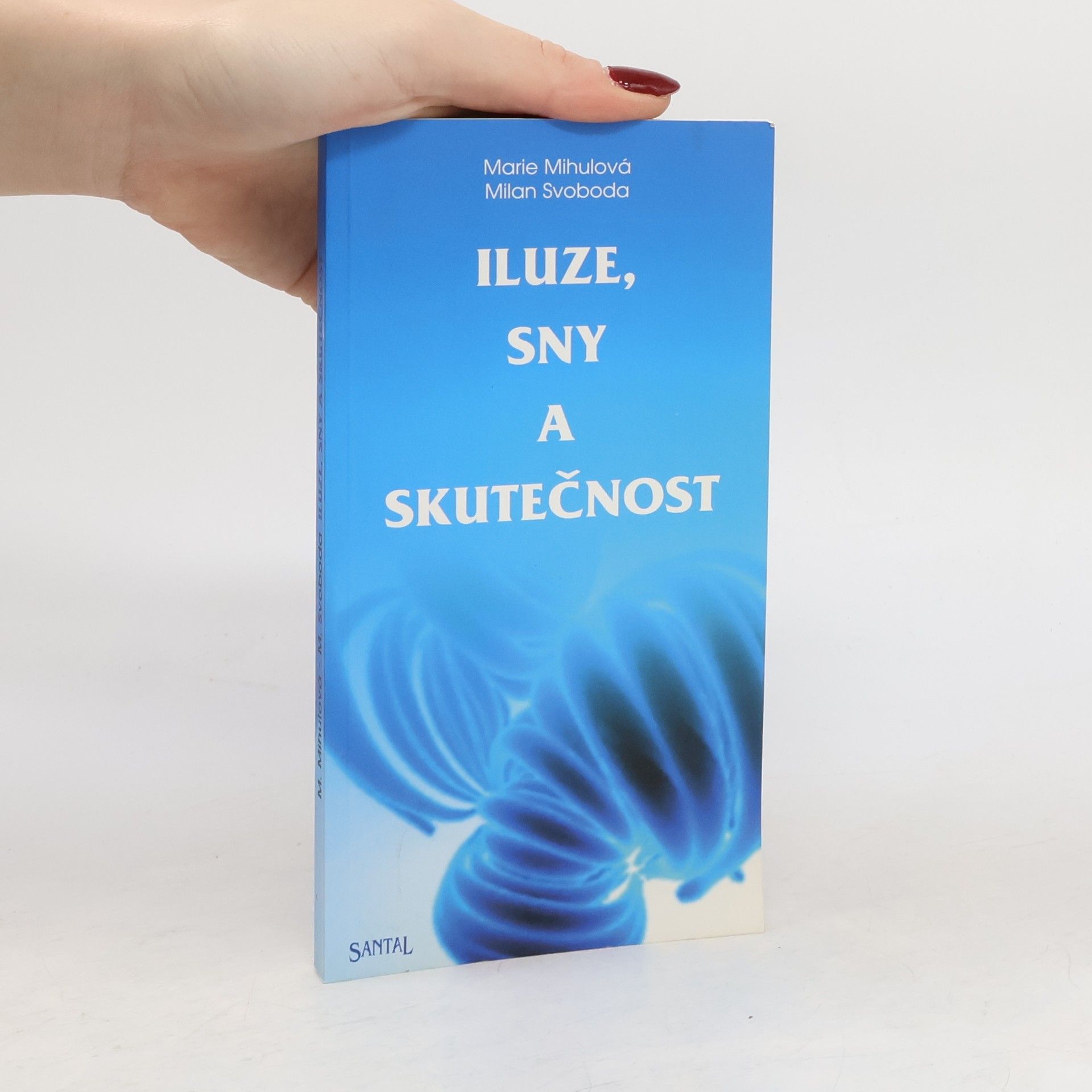 Marie Mihulová Iluze, sny a skutečnost