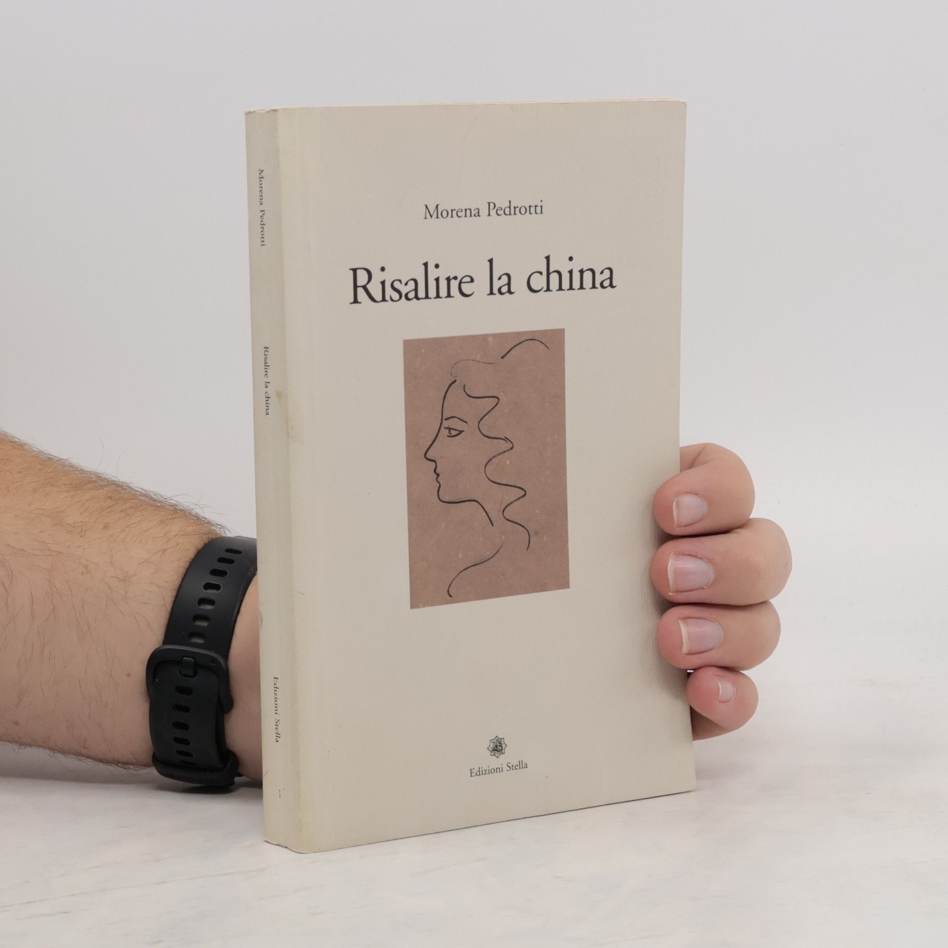 Morena Pedrotti Risalire la china