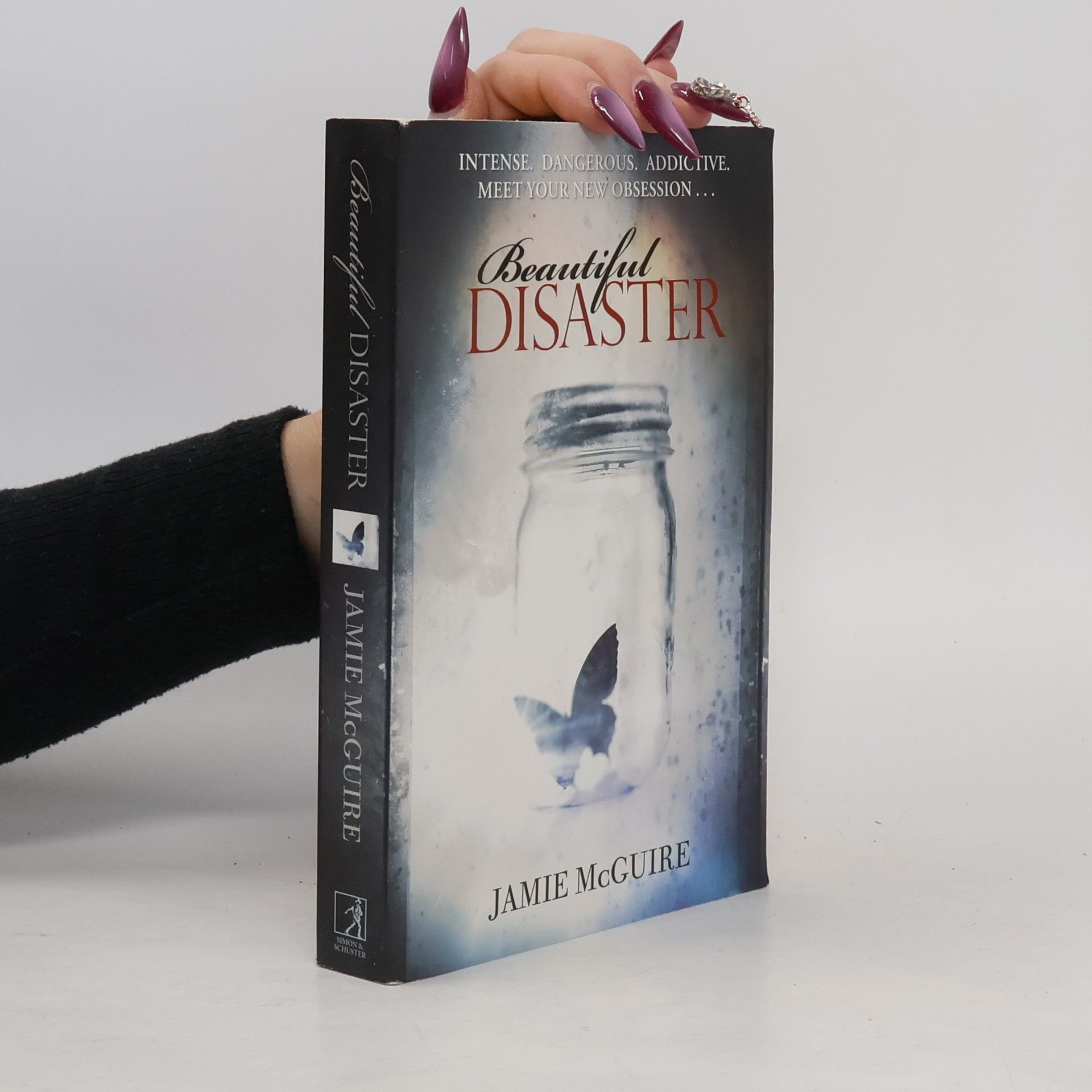 Jamie McGuire Beautiful Disaster