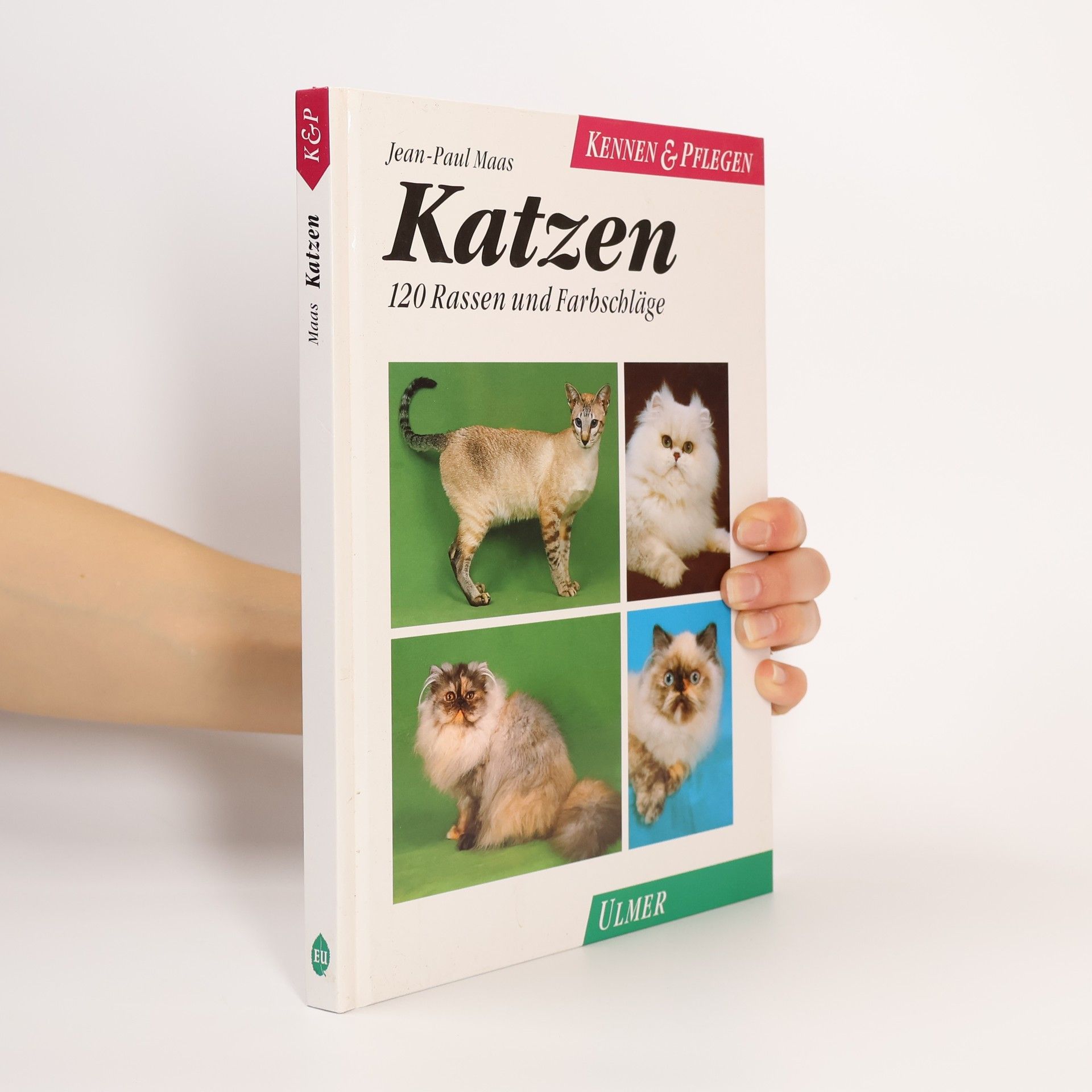 Jean-Paul Maas Katzen