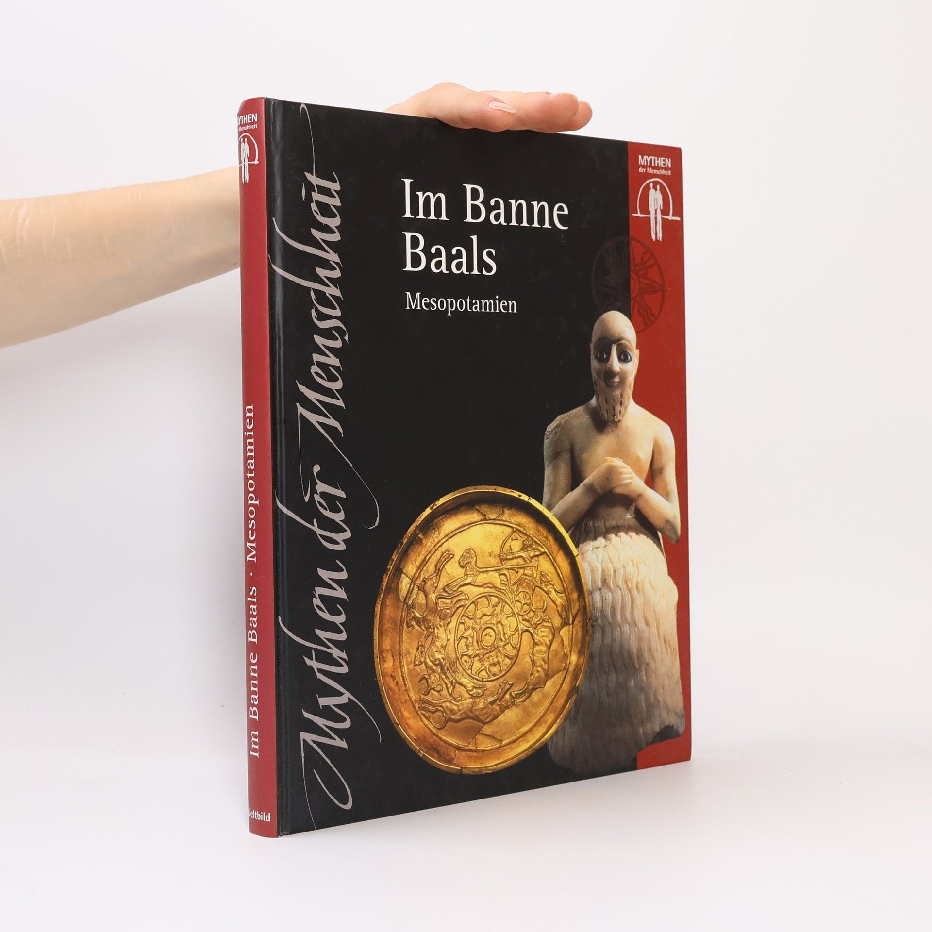 Autorenkollektiv Im Banne Baals. Mesopotamien