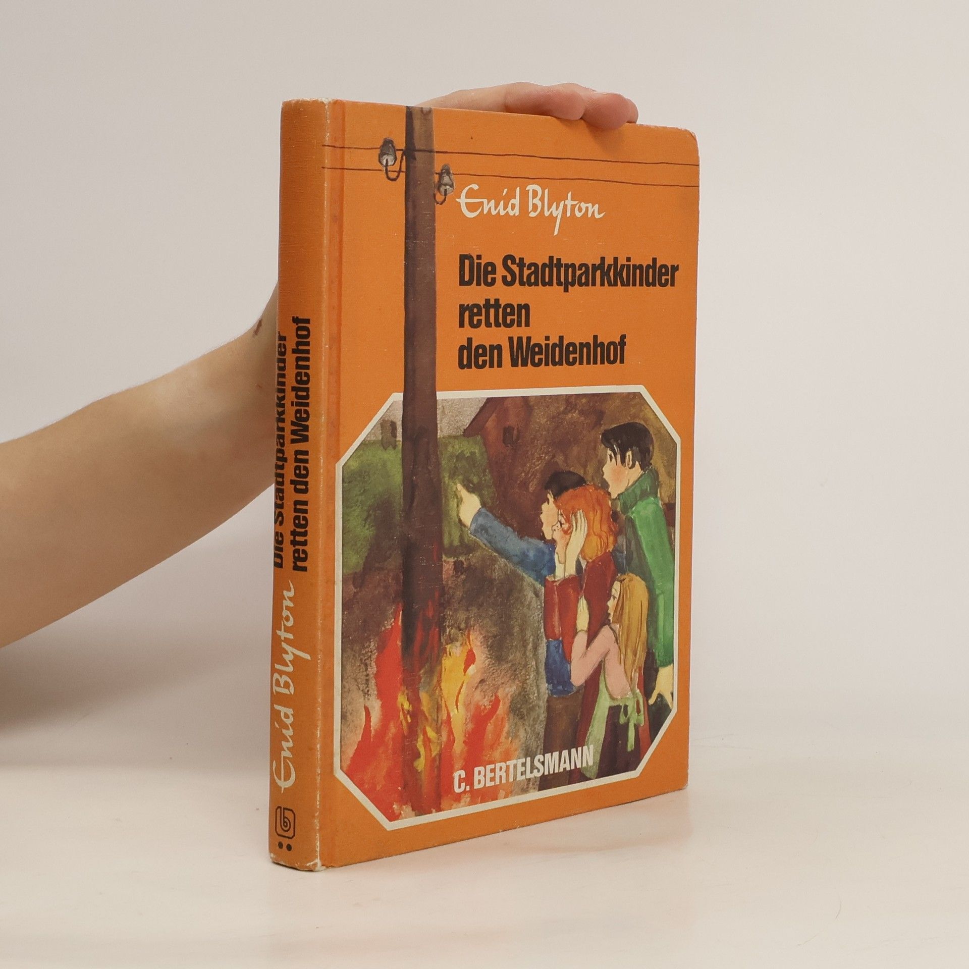 Enid Blyton Die Stadtparkkinder retten den Weidenhof
