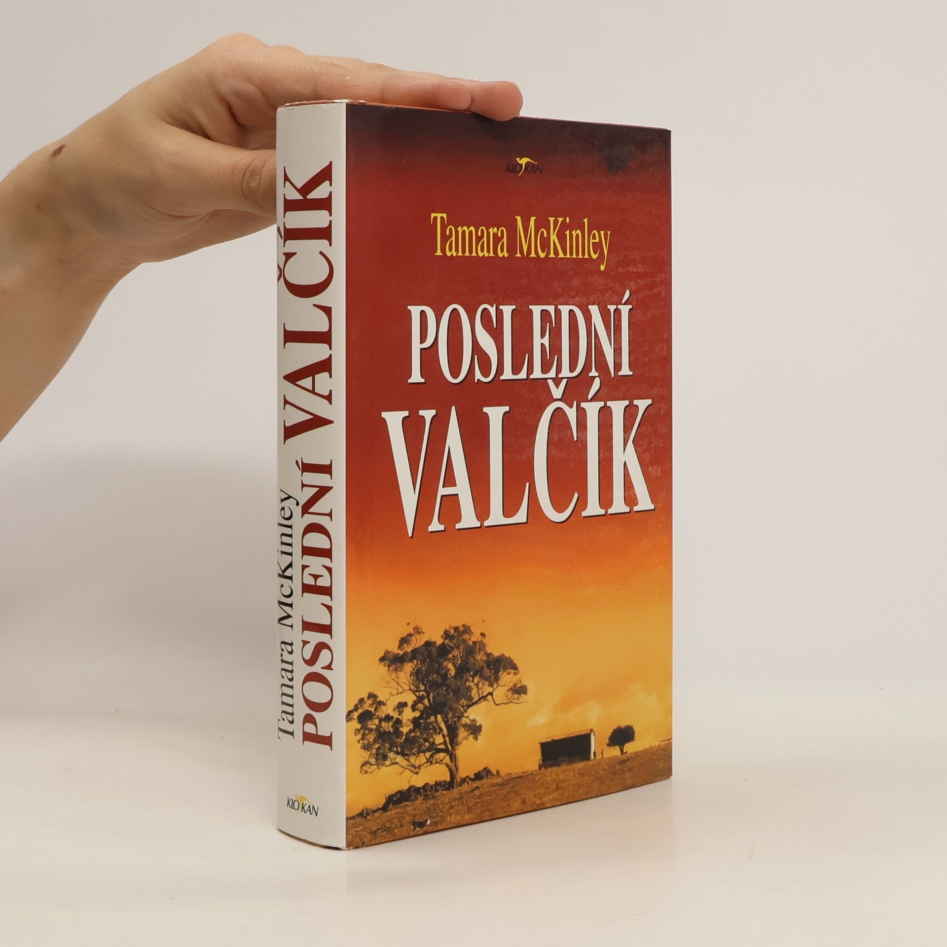 Tamara McKinley Poslední valčík