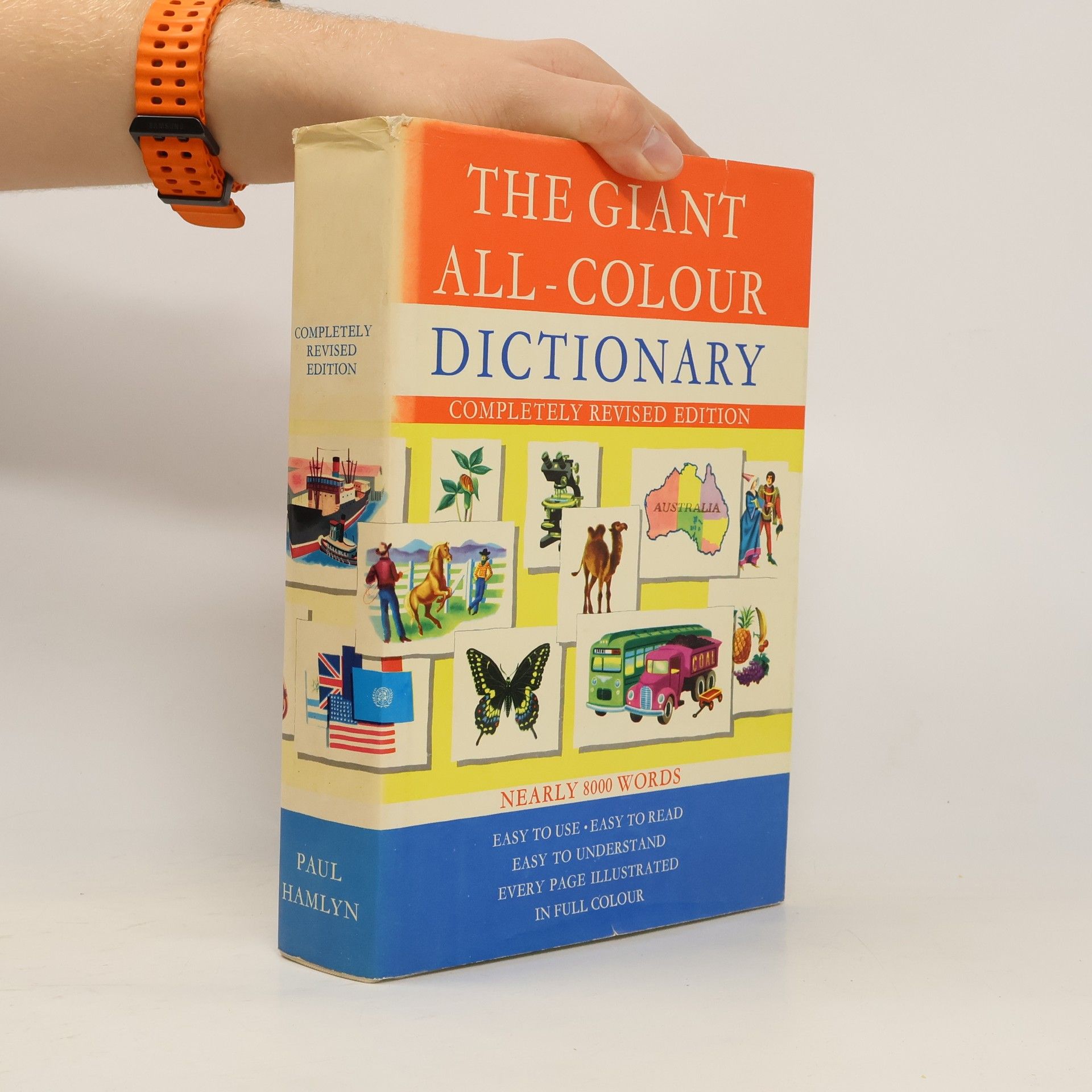 Stuart A. Courtis Giant All Colour Dictionary