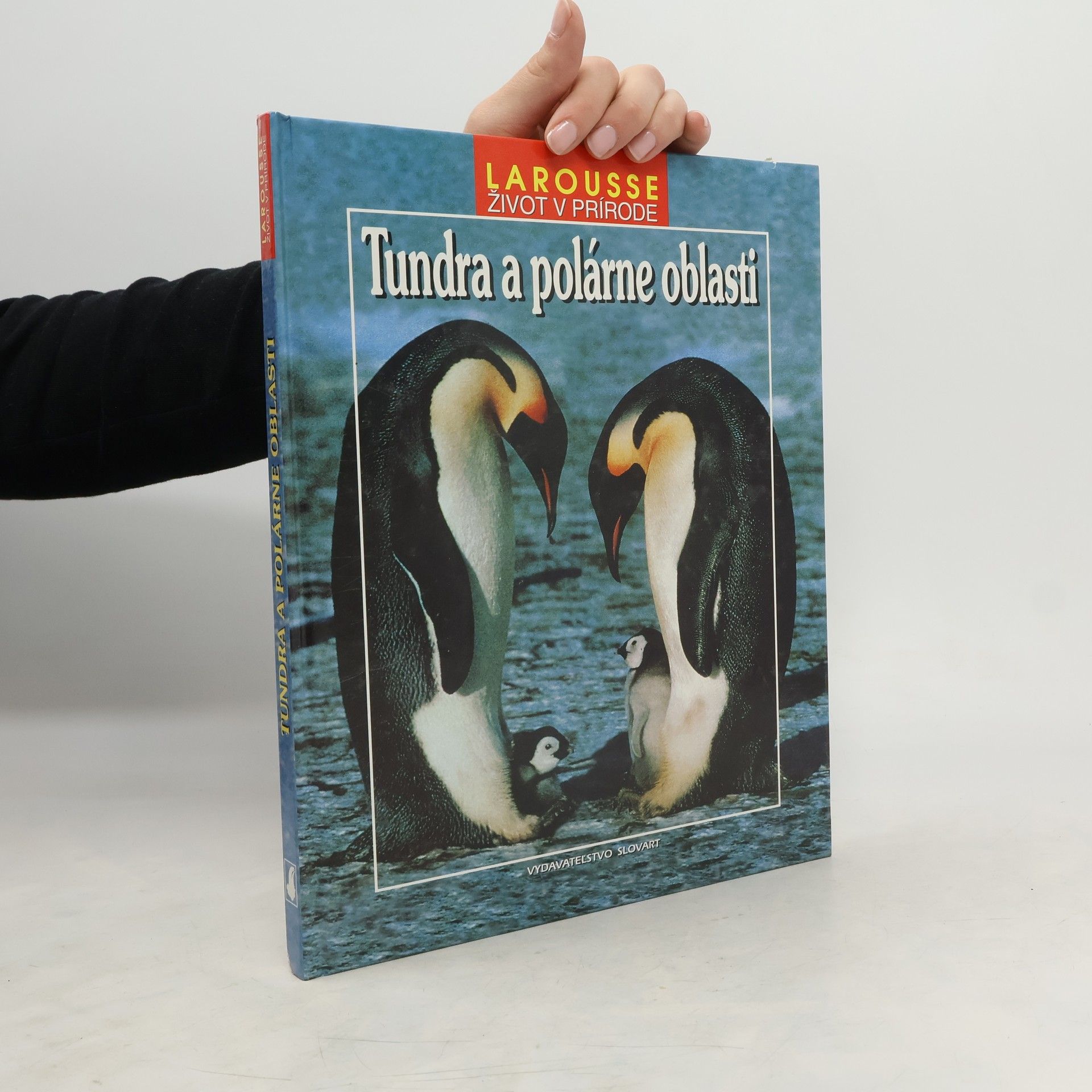 Autorenkollektiv Tundra a polárne oblasti