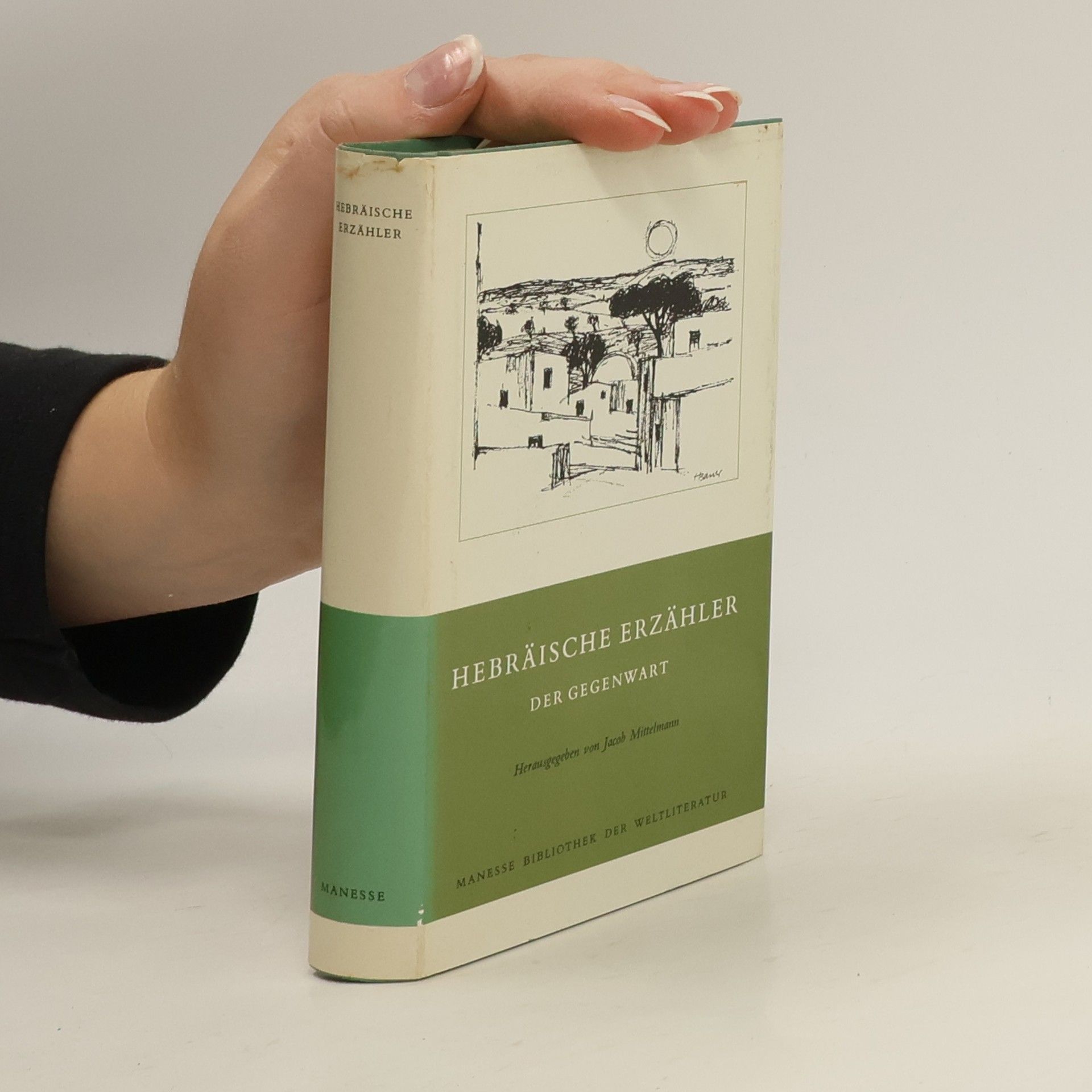 Jacob Marcus Mittelmann Hebräische Erzähler der Gegenwart