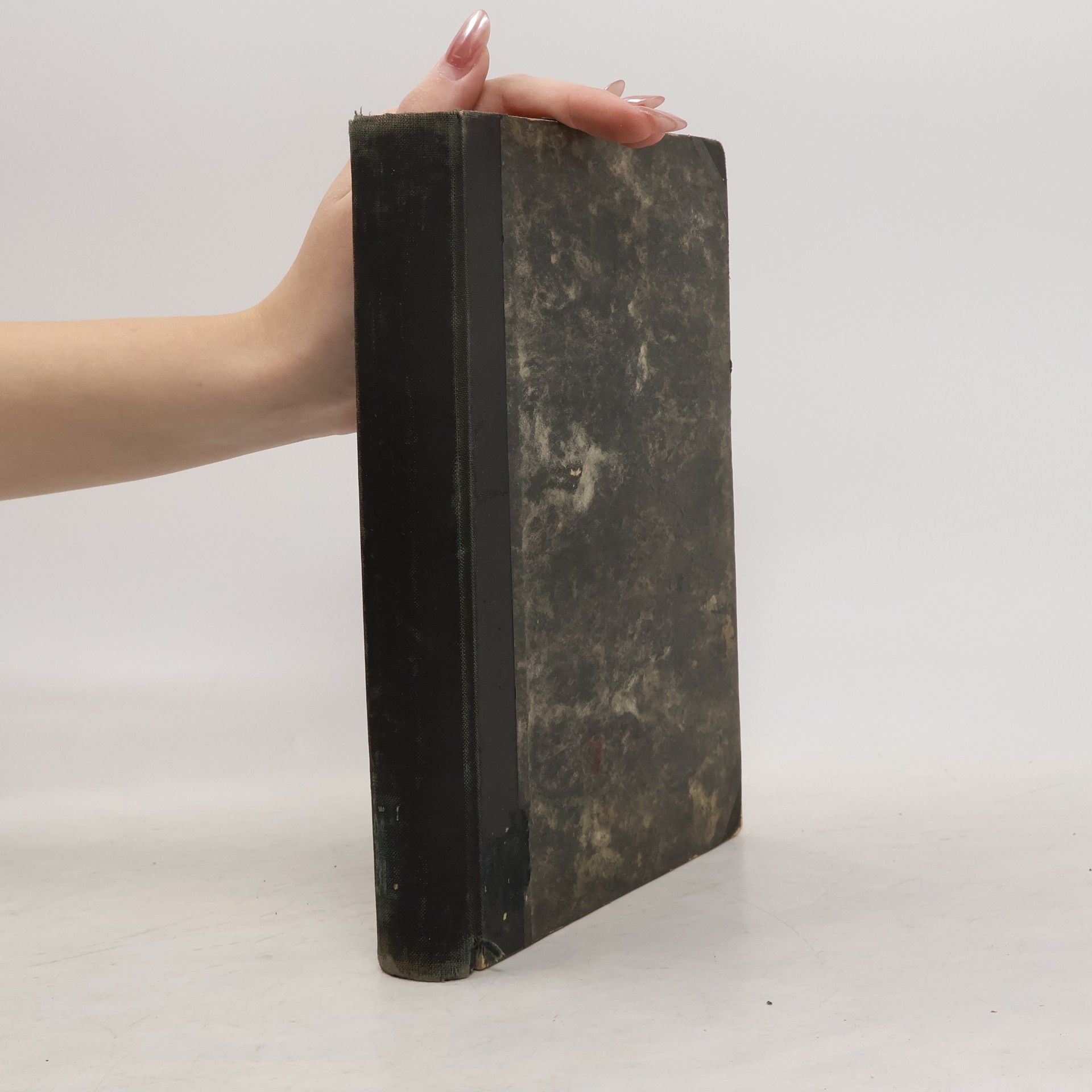 Motta Luigi Tajemství Indického moře