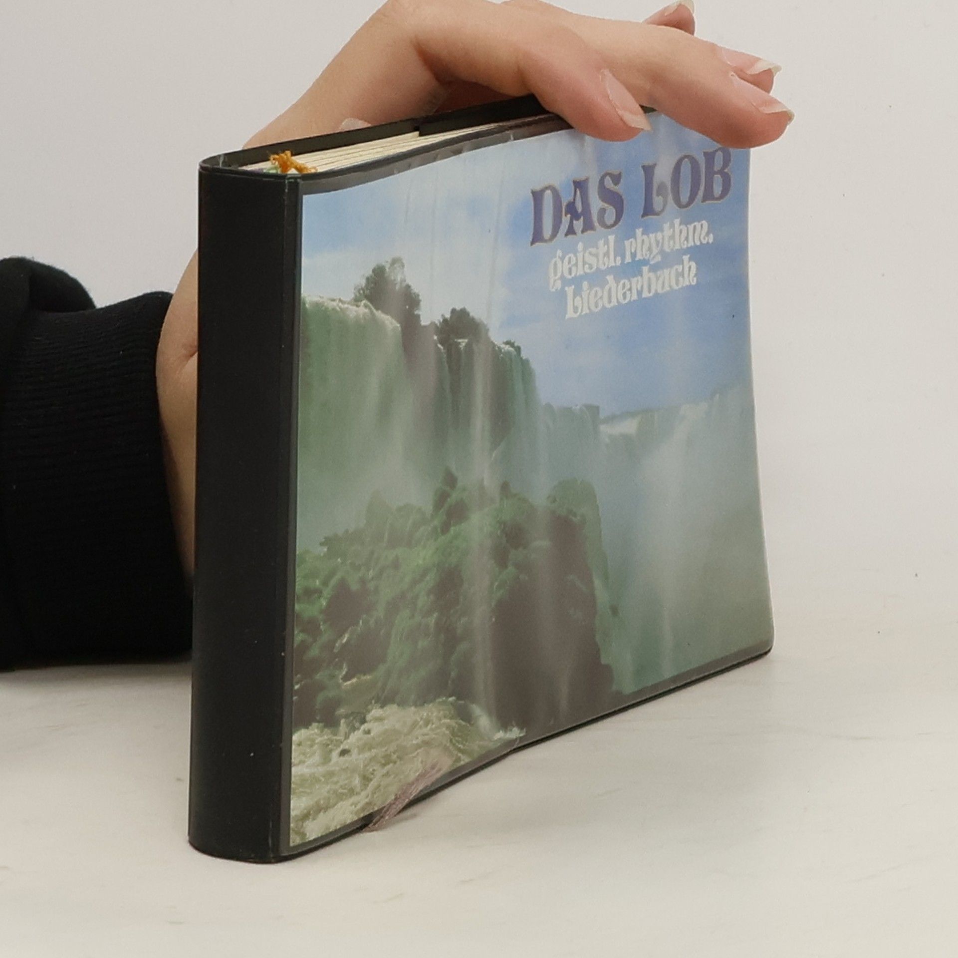 Johann Heinrich Mayen Das Lob