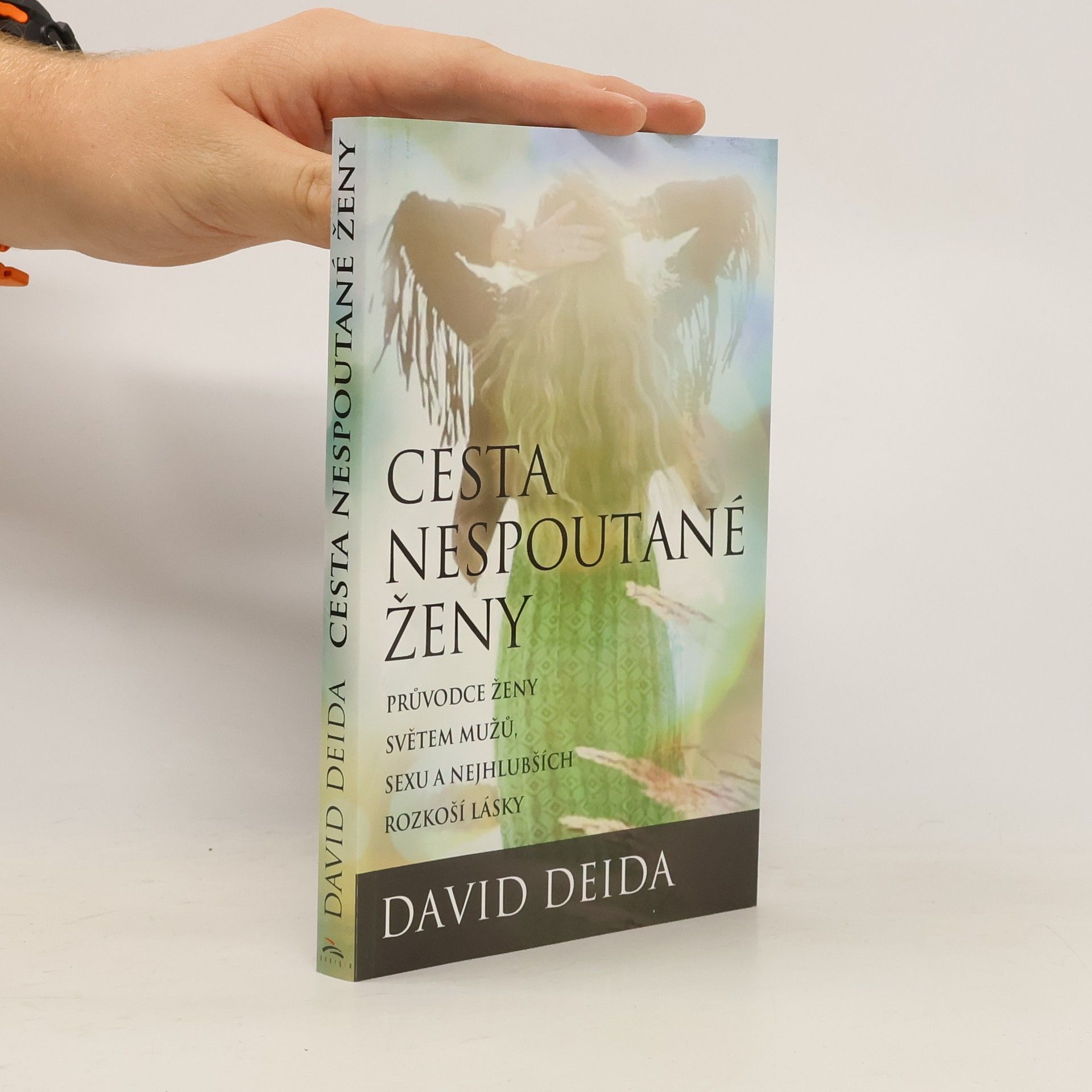 David Deida Cesta nespoutané ženy