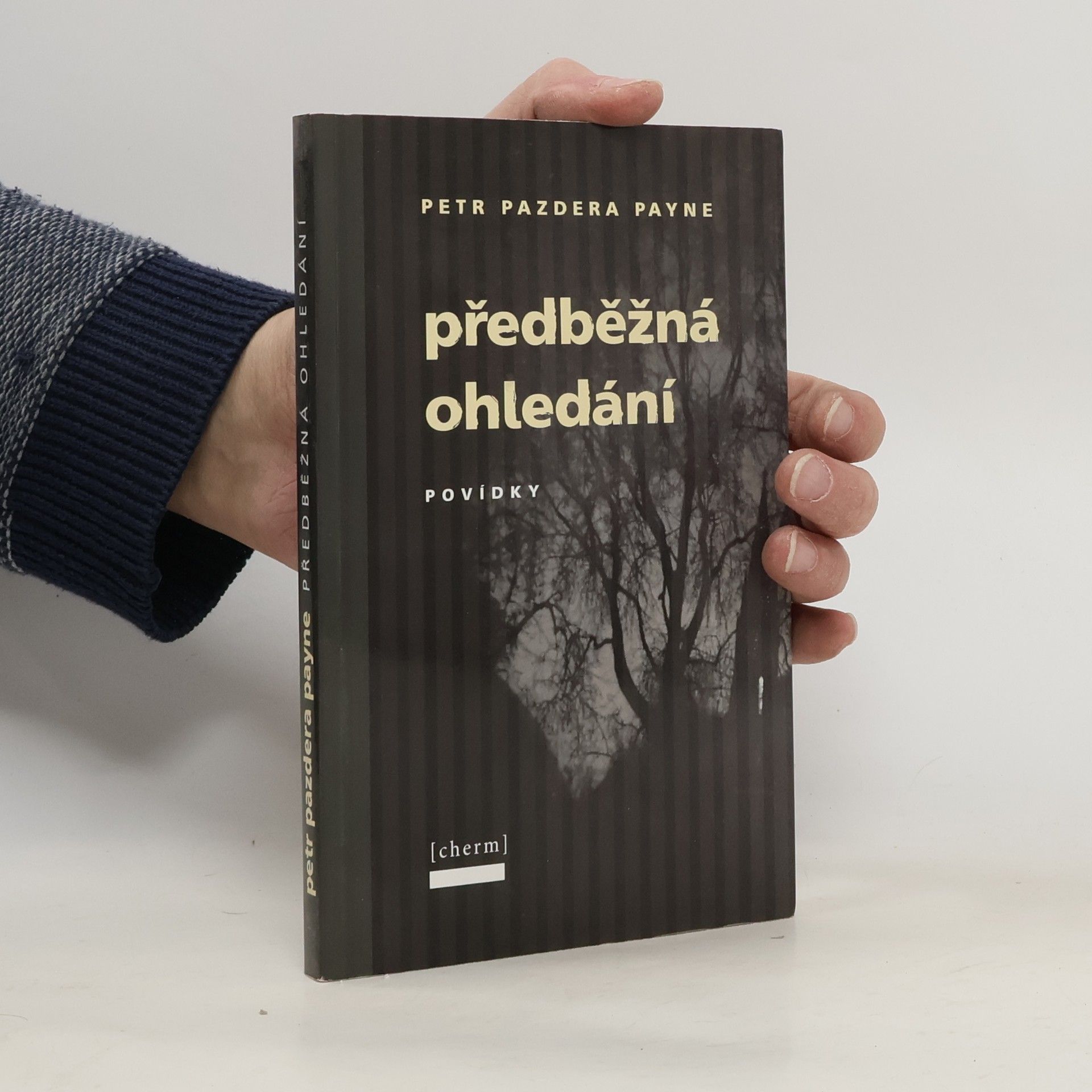 Předběžná ohledání