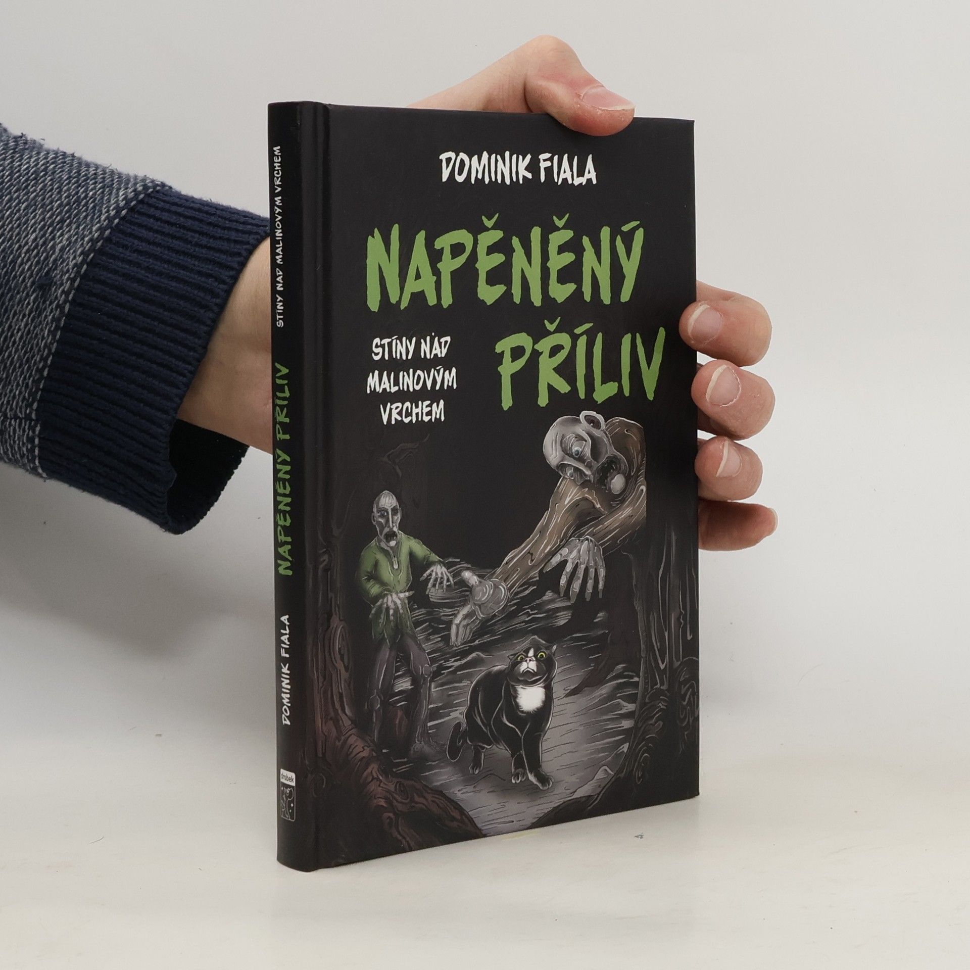 Dominik Fiala Napěněný příliv