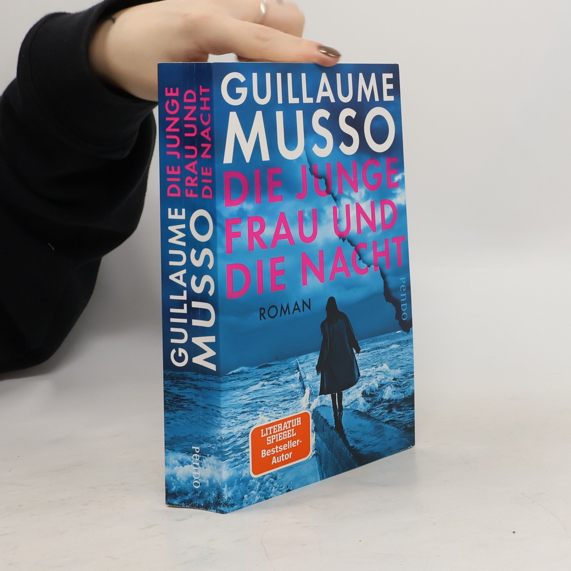 Guillaume Musso Die junge Frau und die Nacht