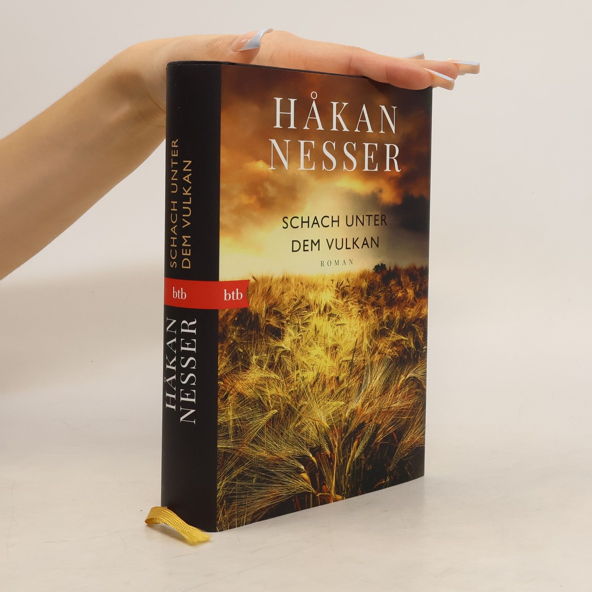 Hakan Nesser Schach unter dem Vulkan