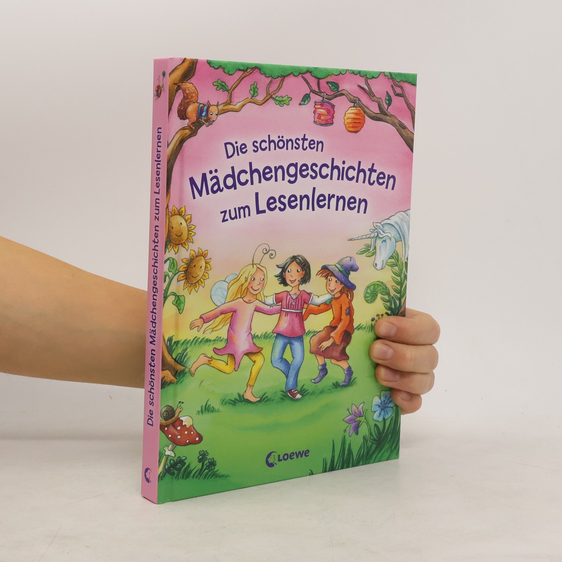 Auteurscollectief Die schönsten Mädchengeschichten zum Lesenlernen