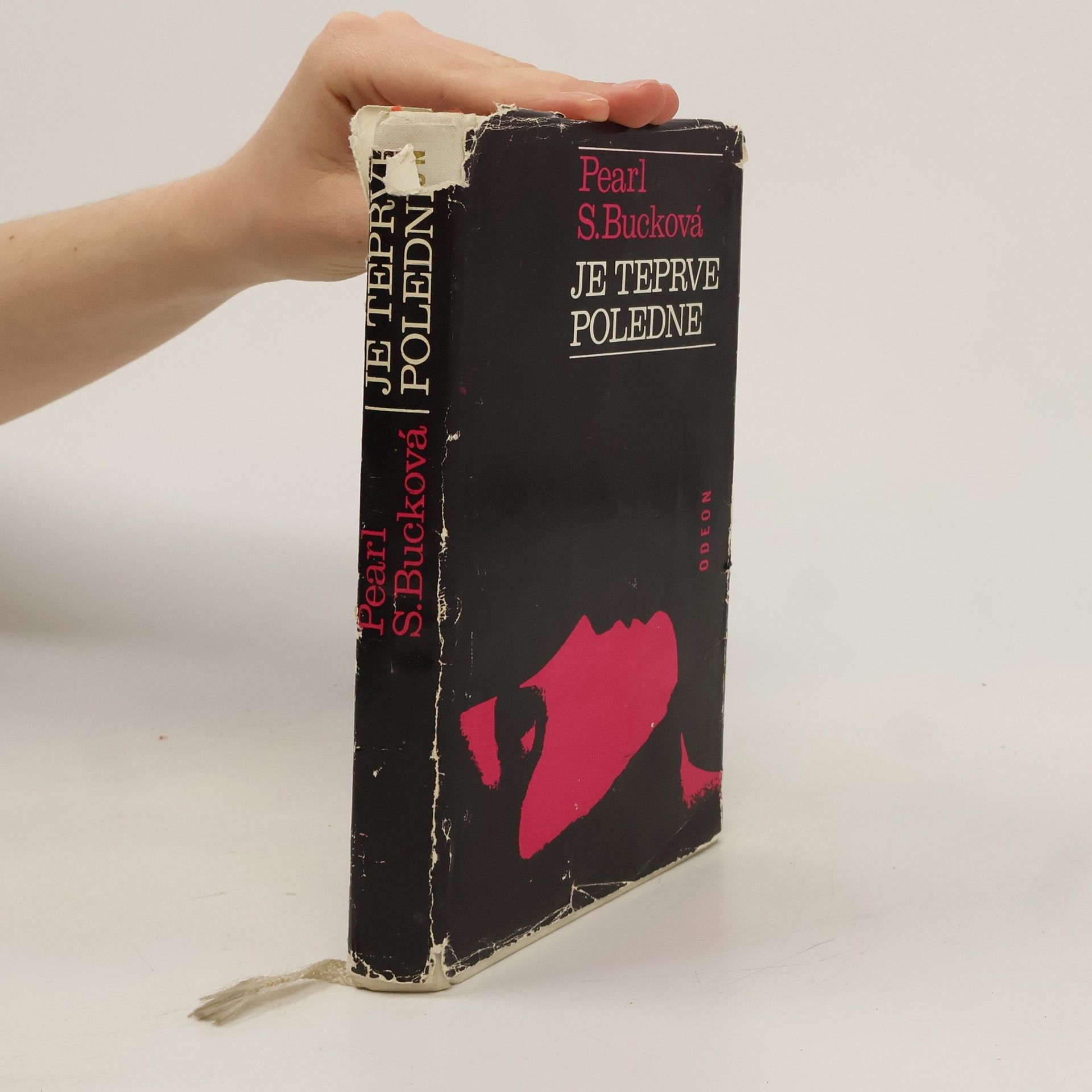 Pearl S. Buck Je teprve poledne