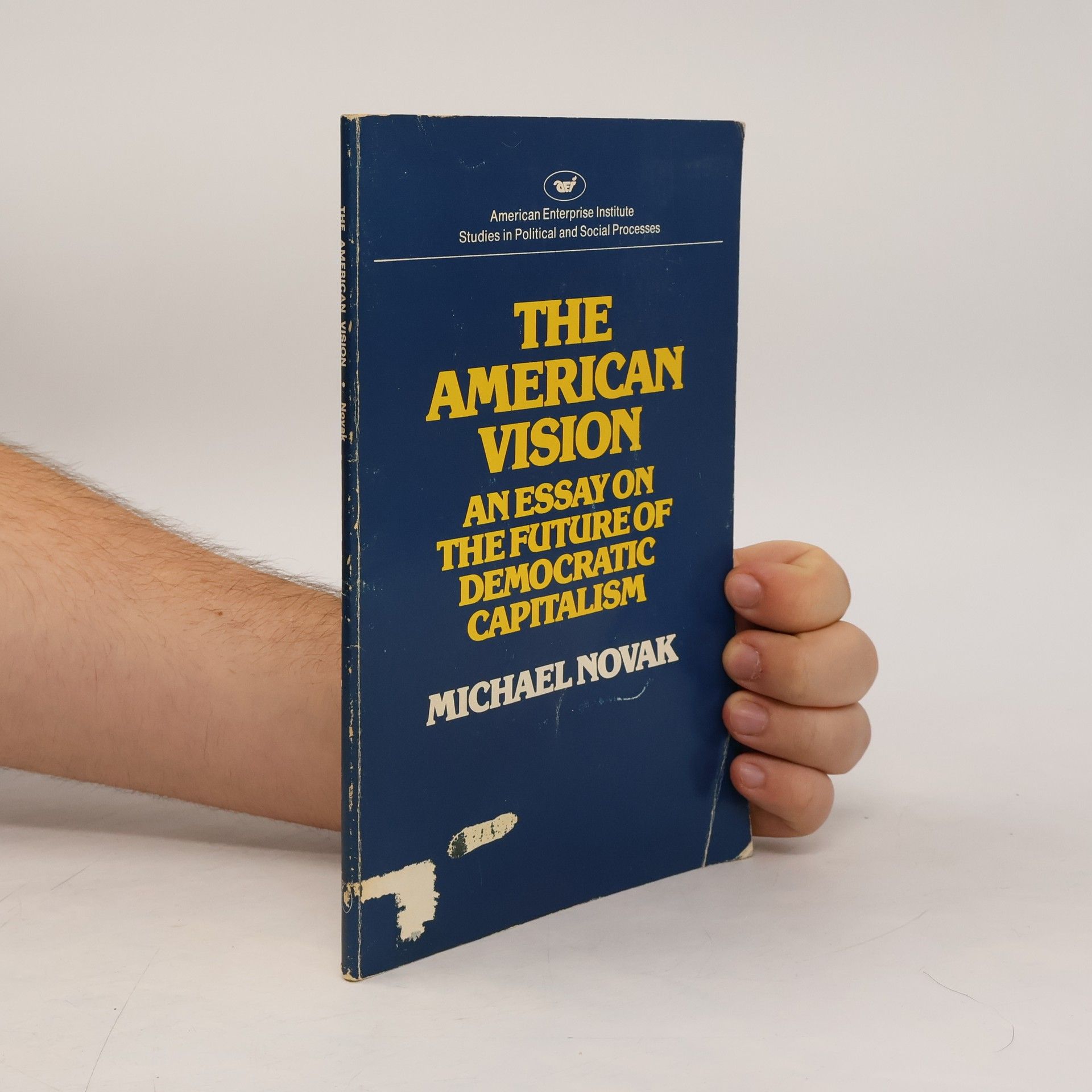 Michael Novak American Vision