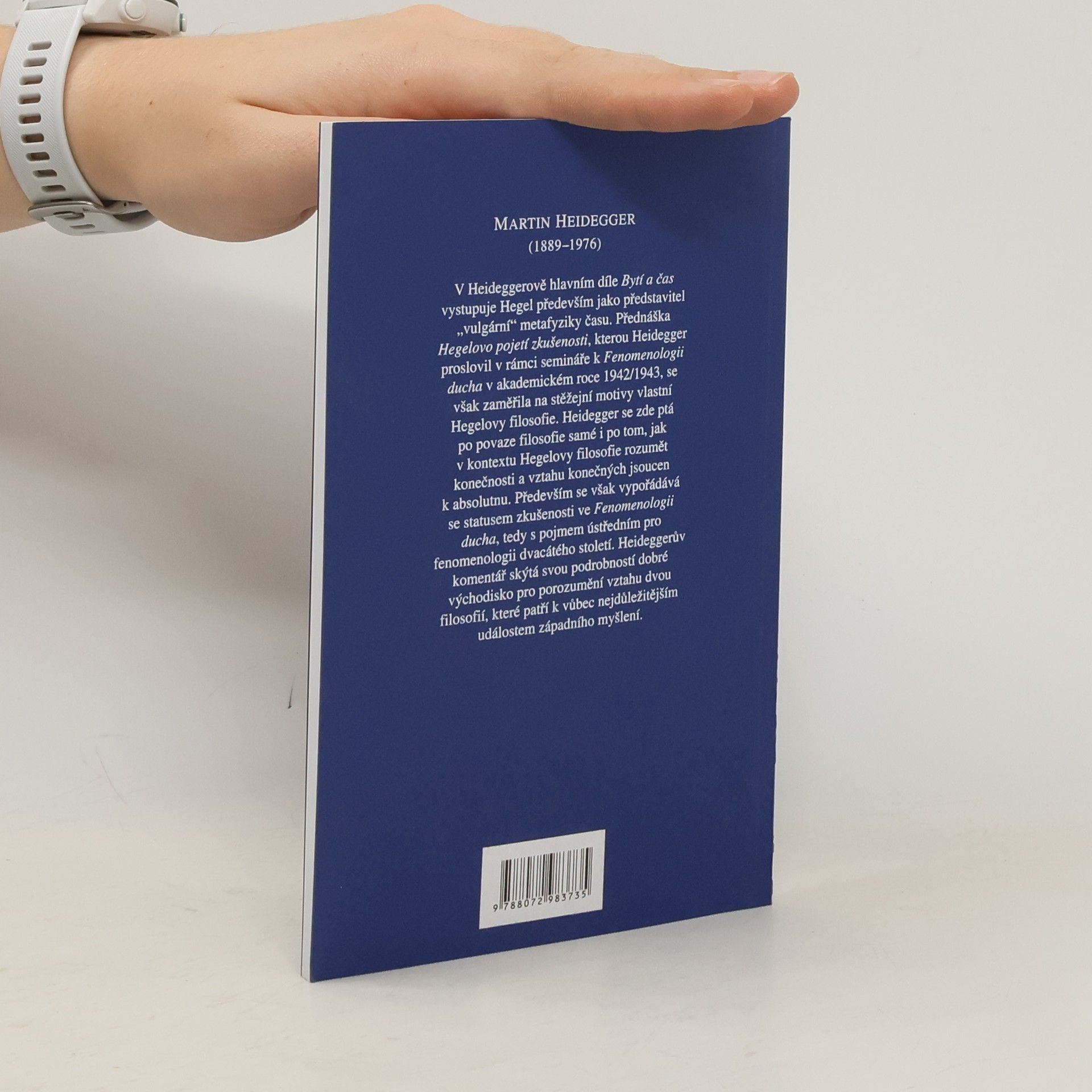 Martin Heidegger Hegelovo pojetí zkušenosti