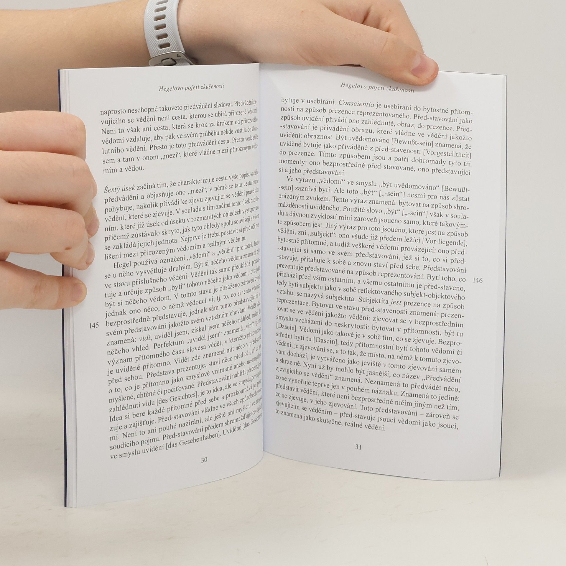 Martin Heidegger Hegelovo pojetí zkušenosti