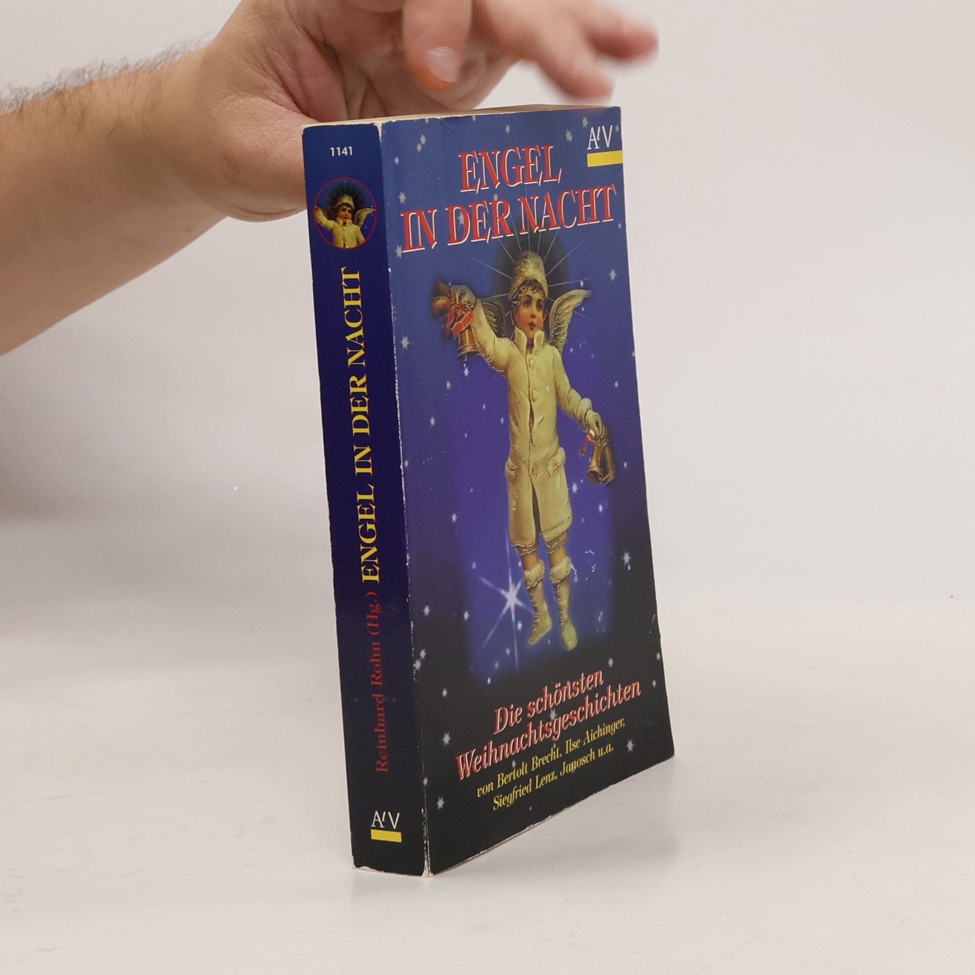 Reinhard Rohn Engel in der Nacht