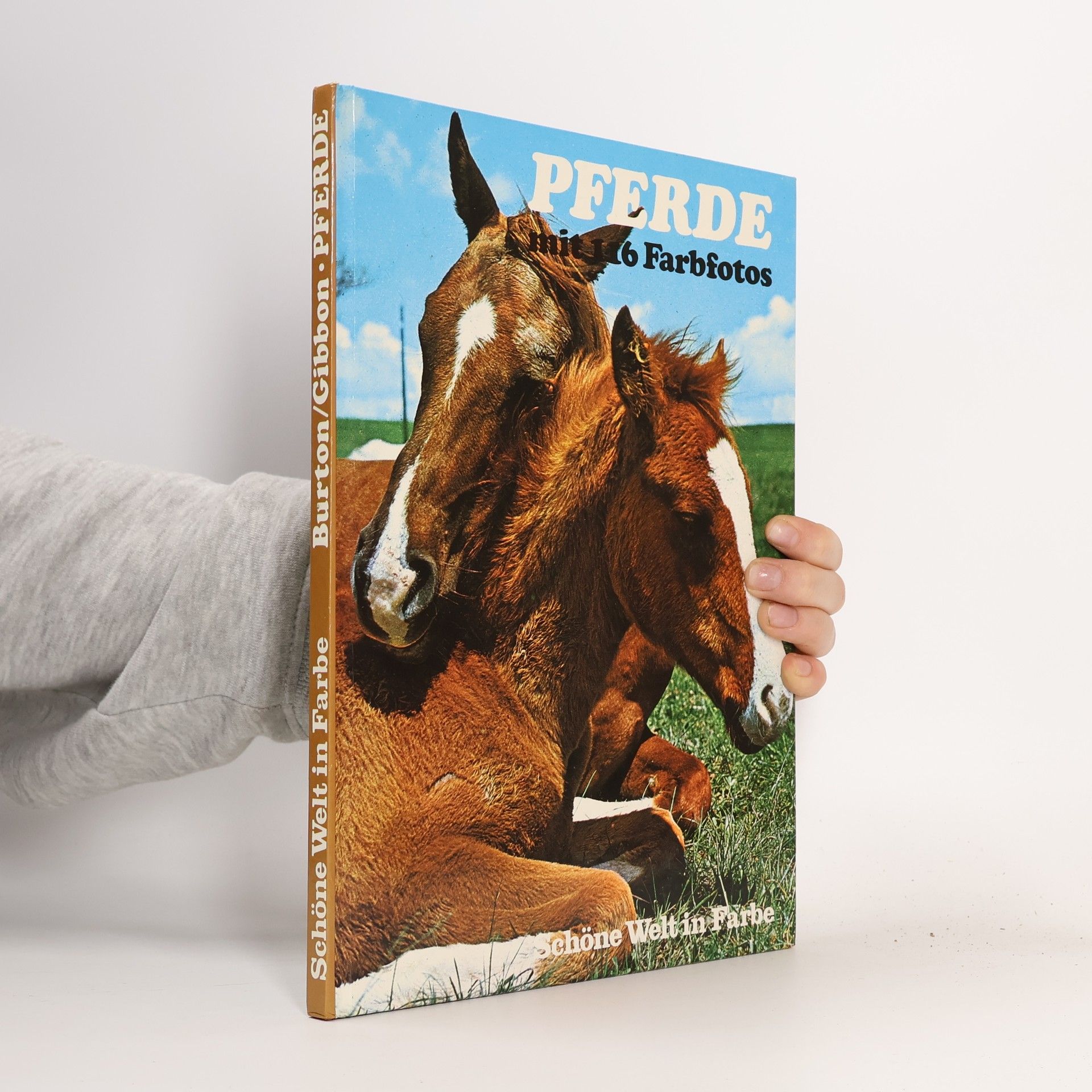 Collectif d'auteurs Schöne Welt in Farbe. Pferde