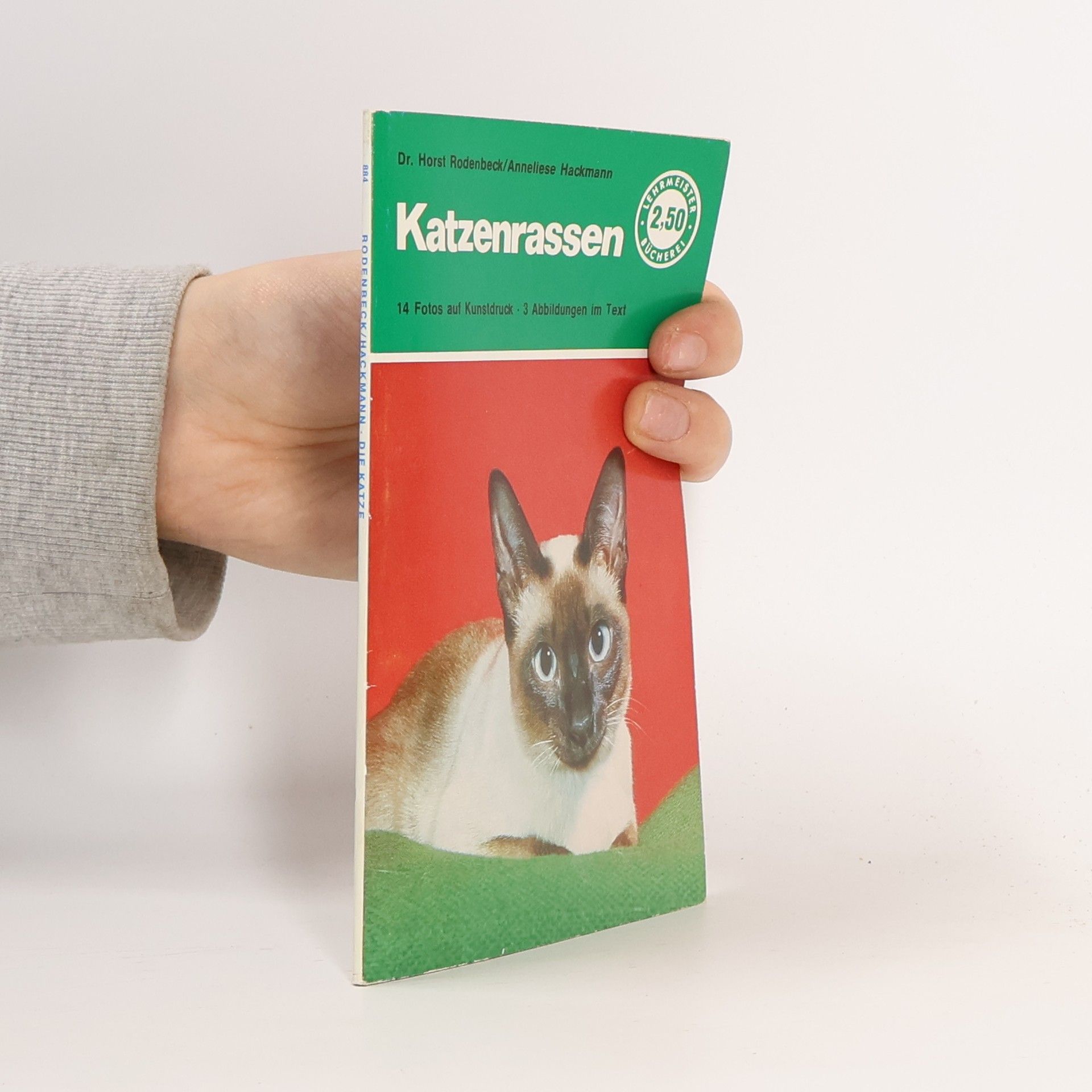 Katzenrassen