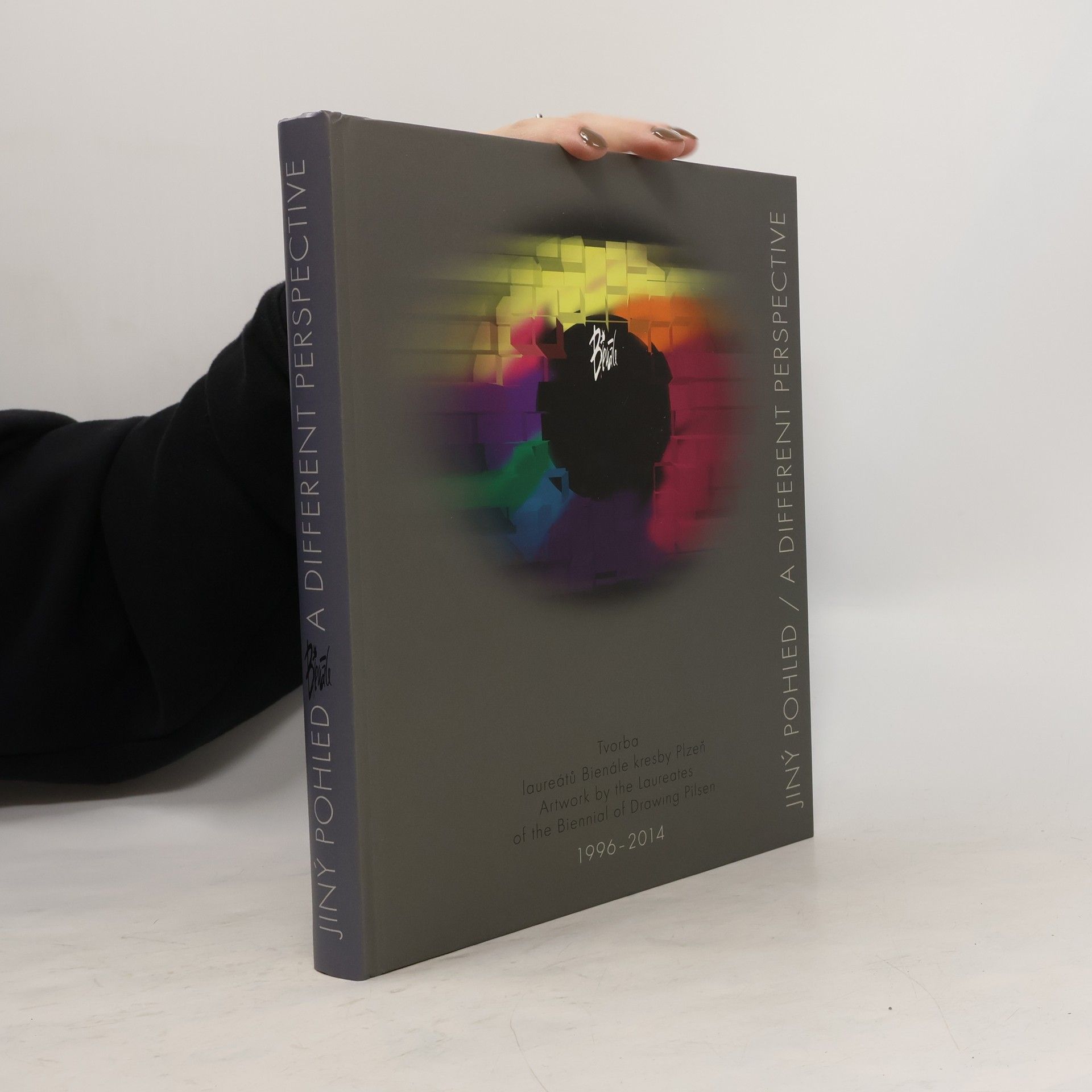 Collectif d'auteurs Jiný pohled. Tvorba laureátů Bienále kresby Plzeň 1996-2014