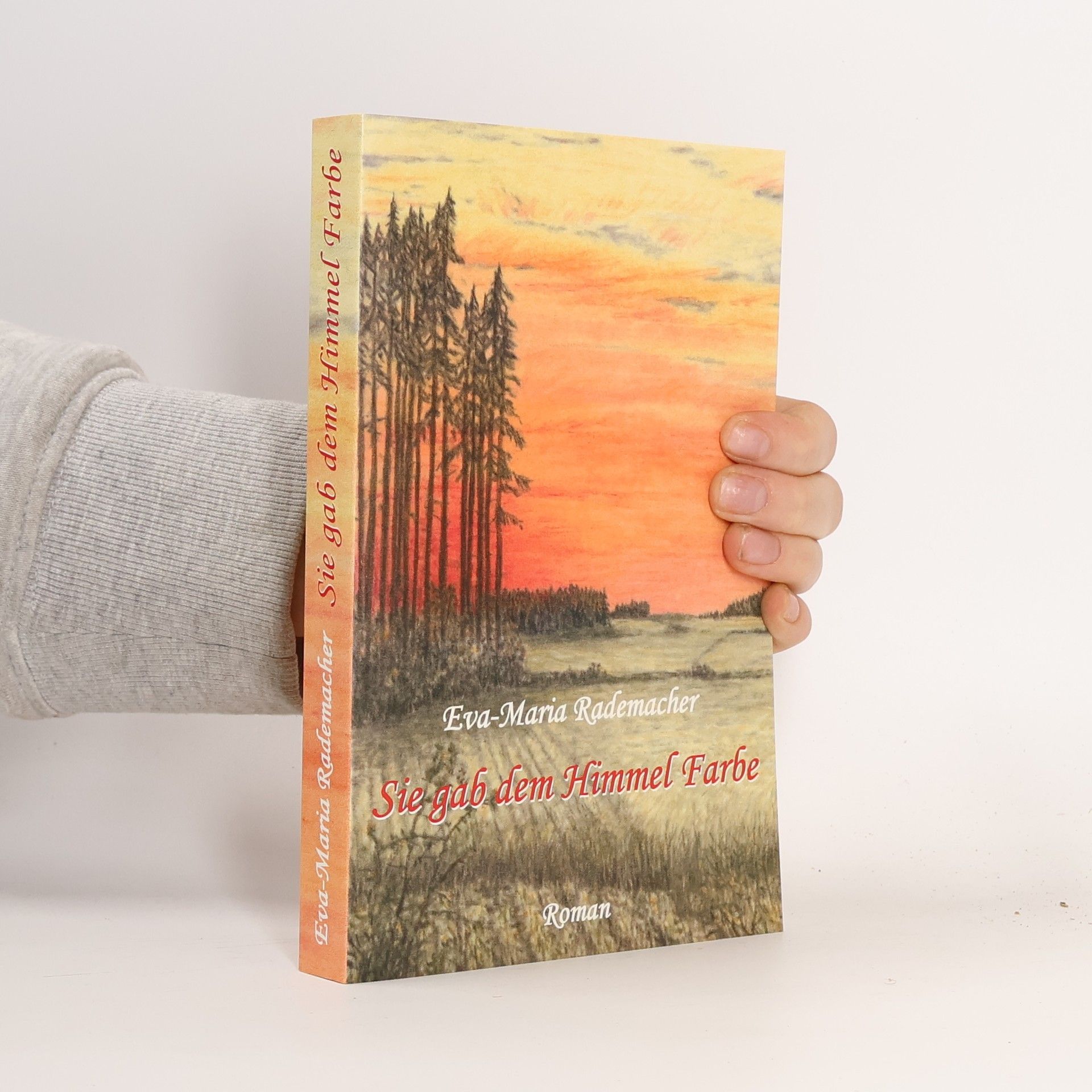 Eva M Rademacher Sie gab dem Himmel Farbe. Roman