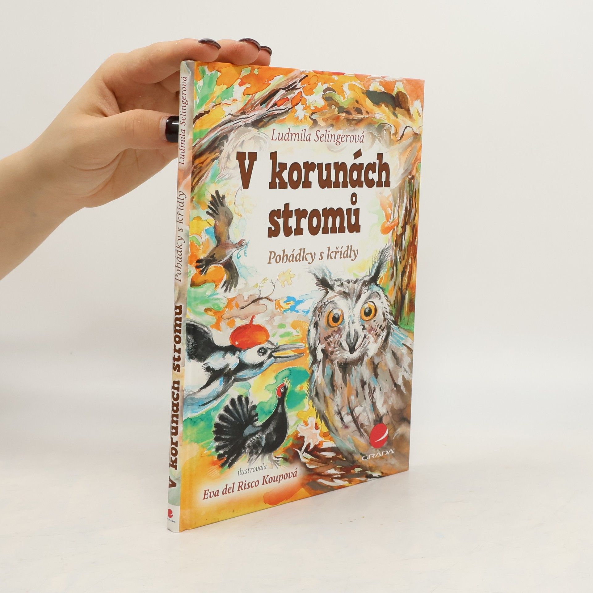 V korunách stromů : pohádky s křídly