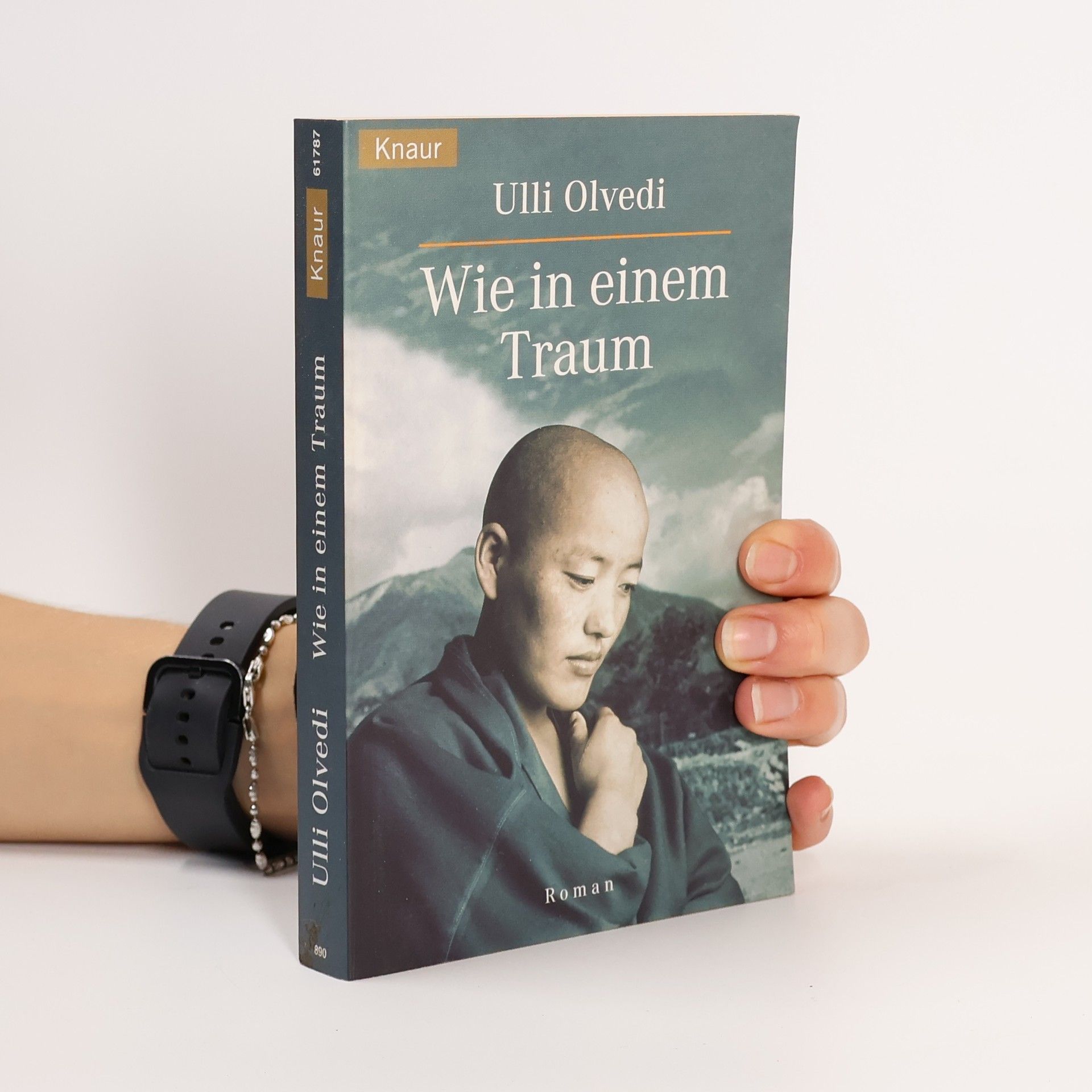 Ulli Olvedi Wie in einem Traum